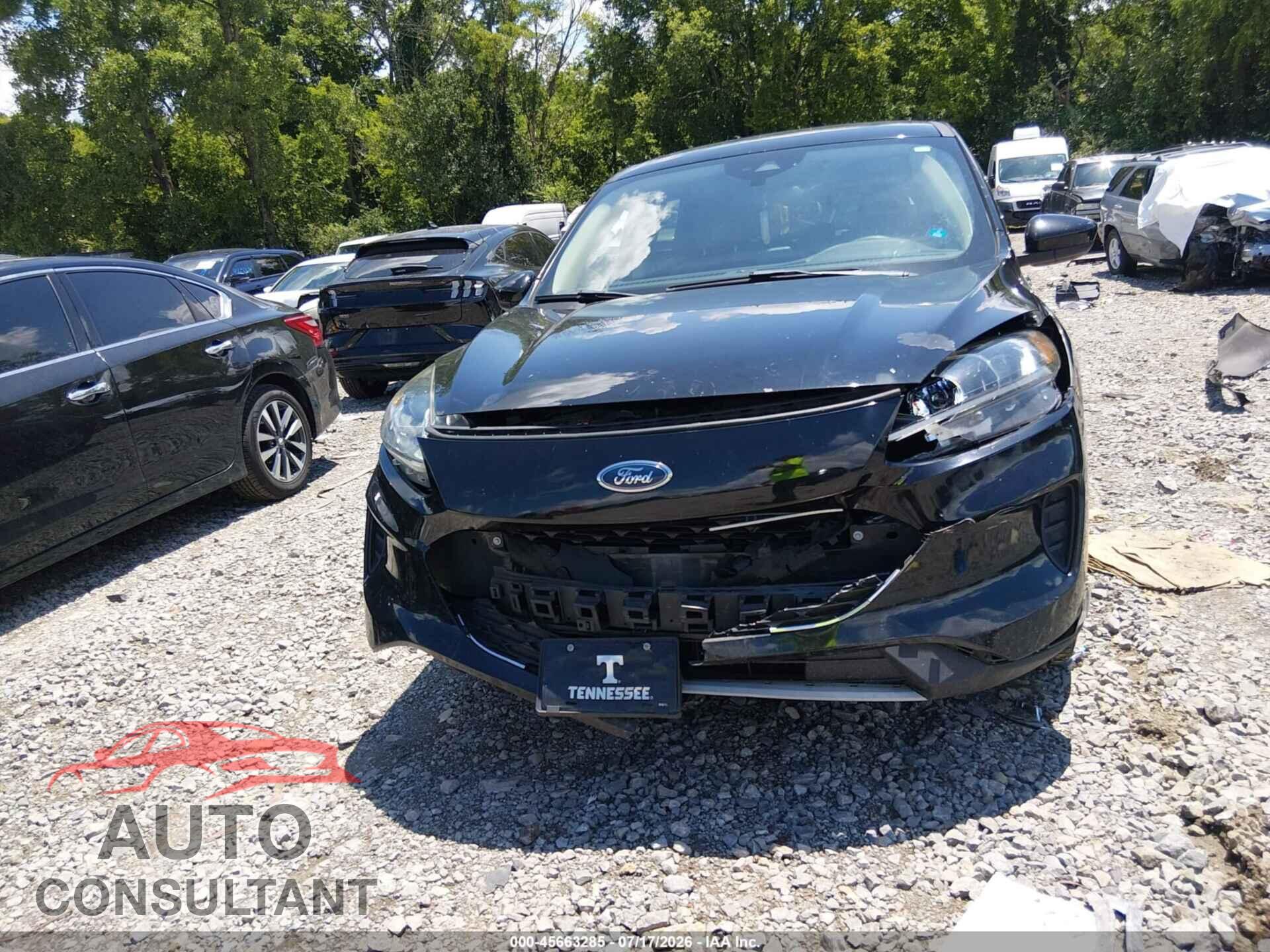FORD ESCAPE 2020 - 1FMCU9G61LUA52116