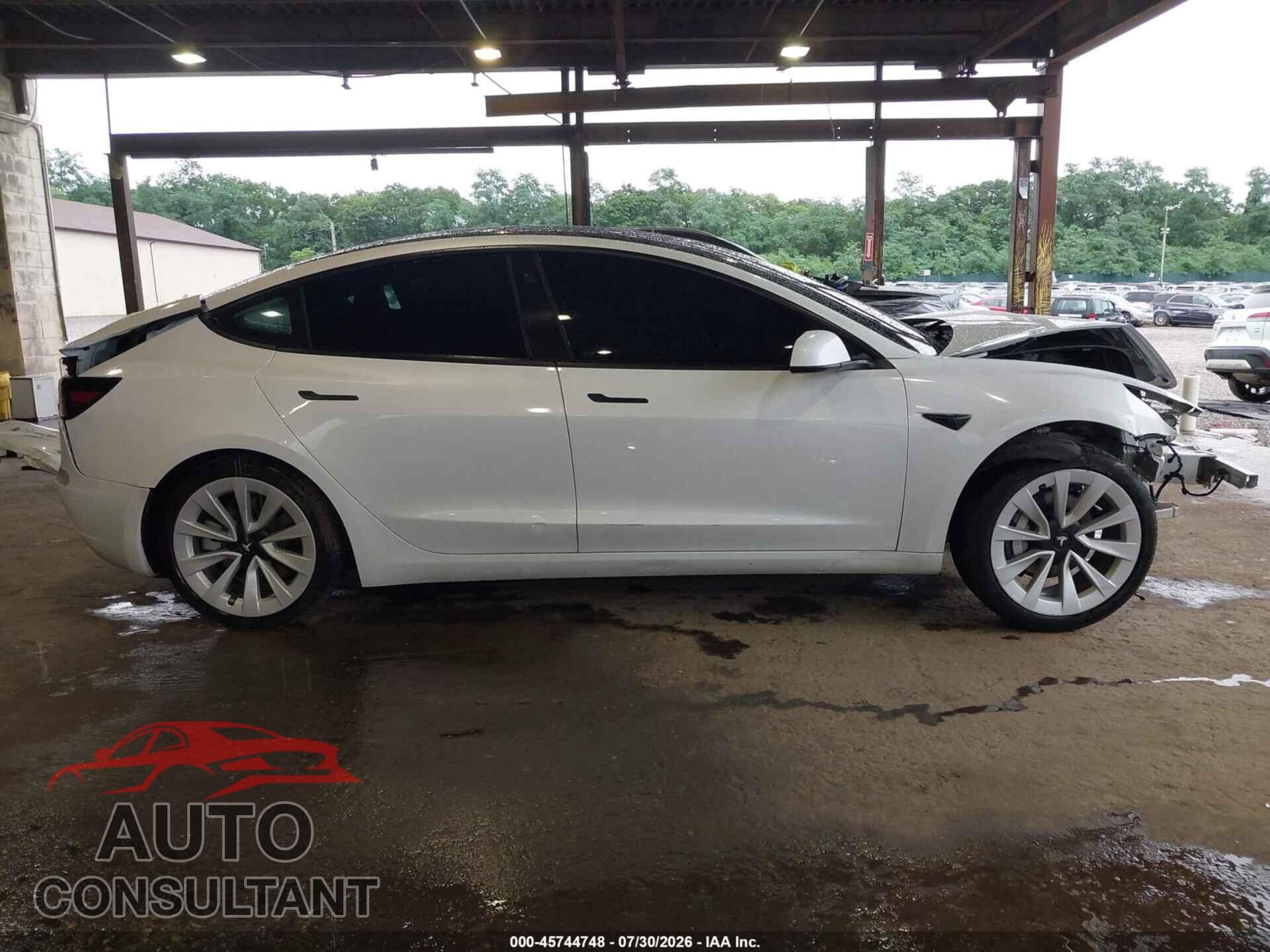 TESLA MODEL 3 2021 - 5YJ3E1EA1MF063749