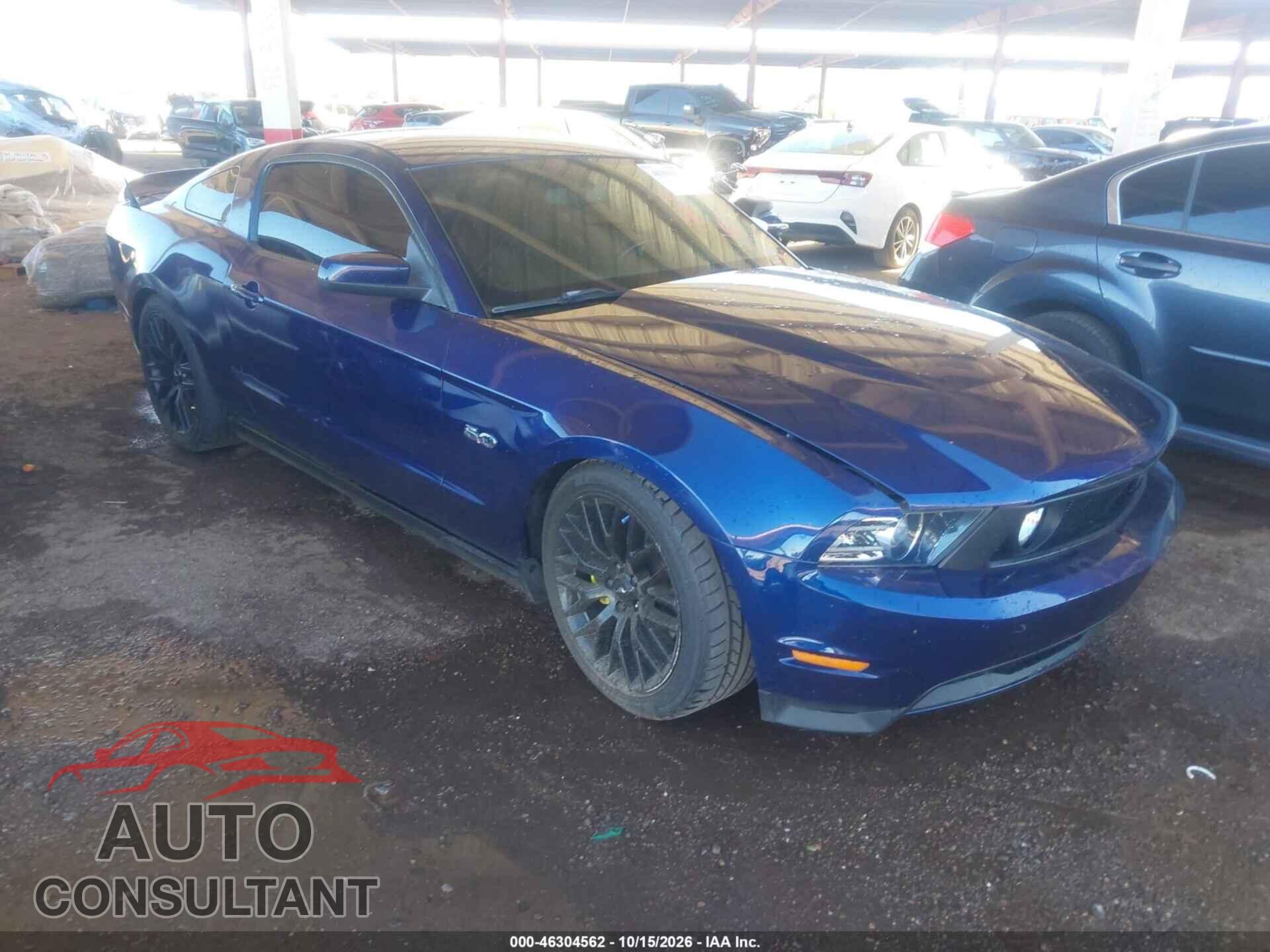 FORD MUSTANG 2011 - 1ZVBP8CF5B5136677