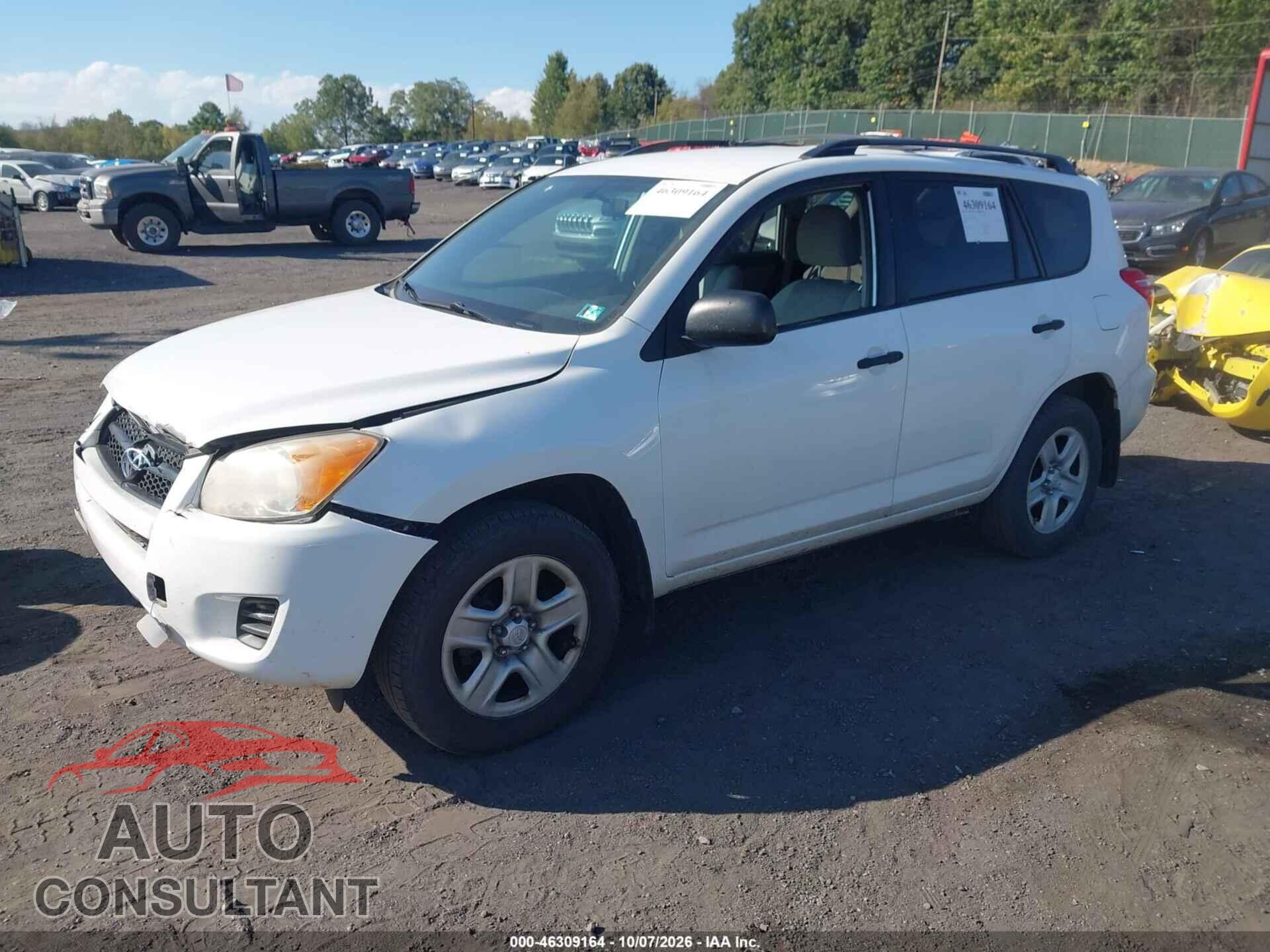 TOYOTA RAV4 2011 - 2T3BF4DV7BW155518
