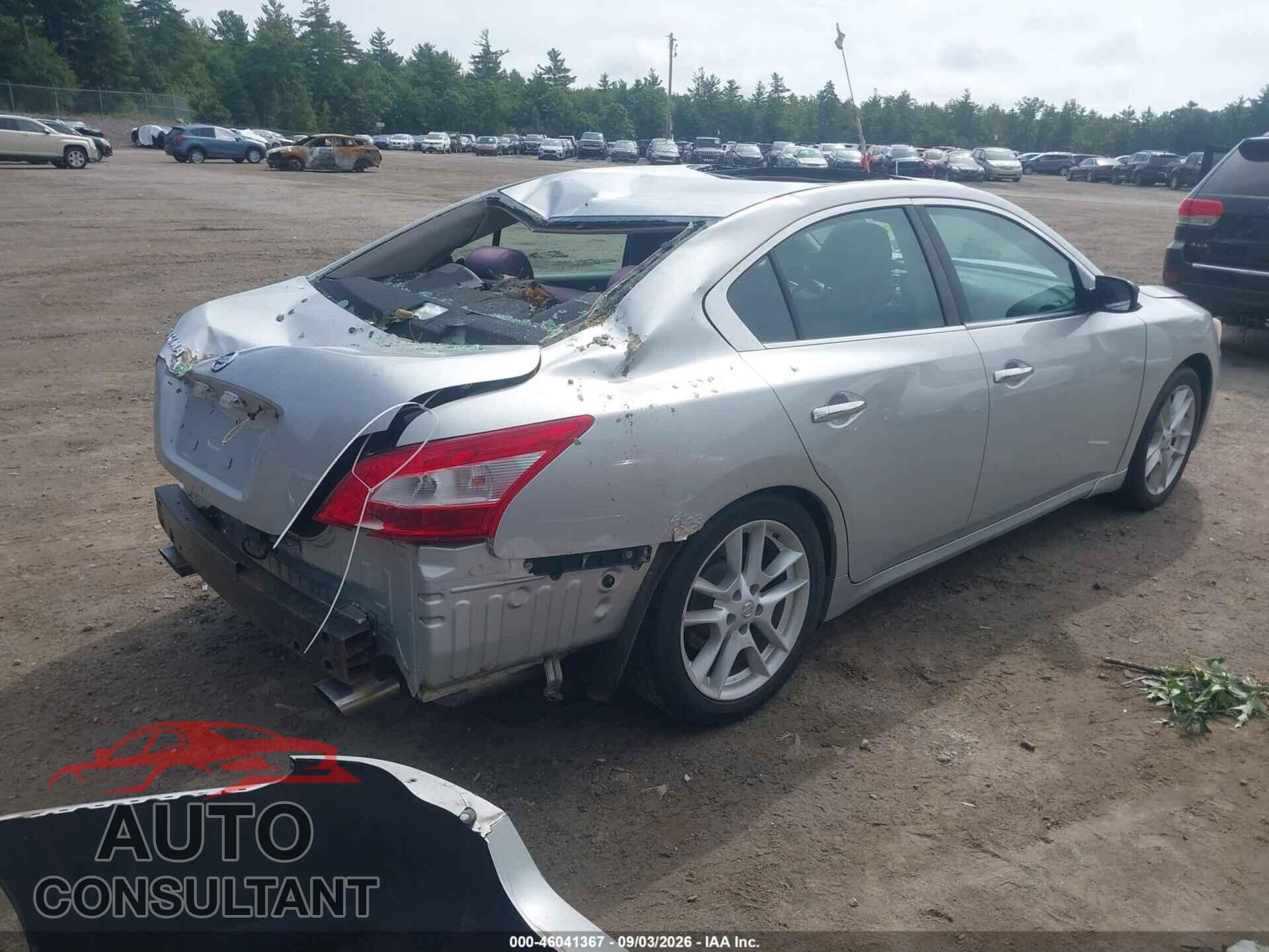 NISSAN MAXIMA 2009 - 1N4AA51E89C843809