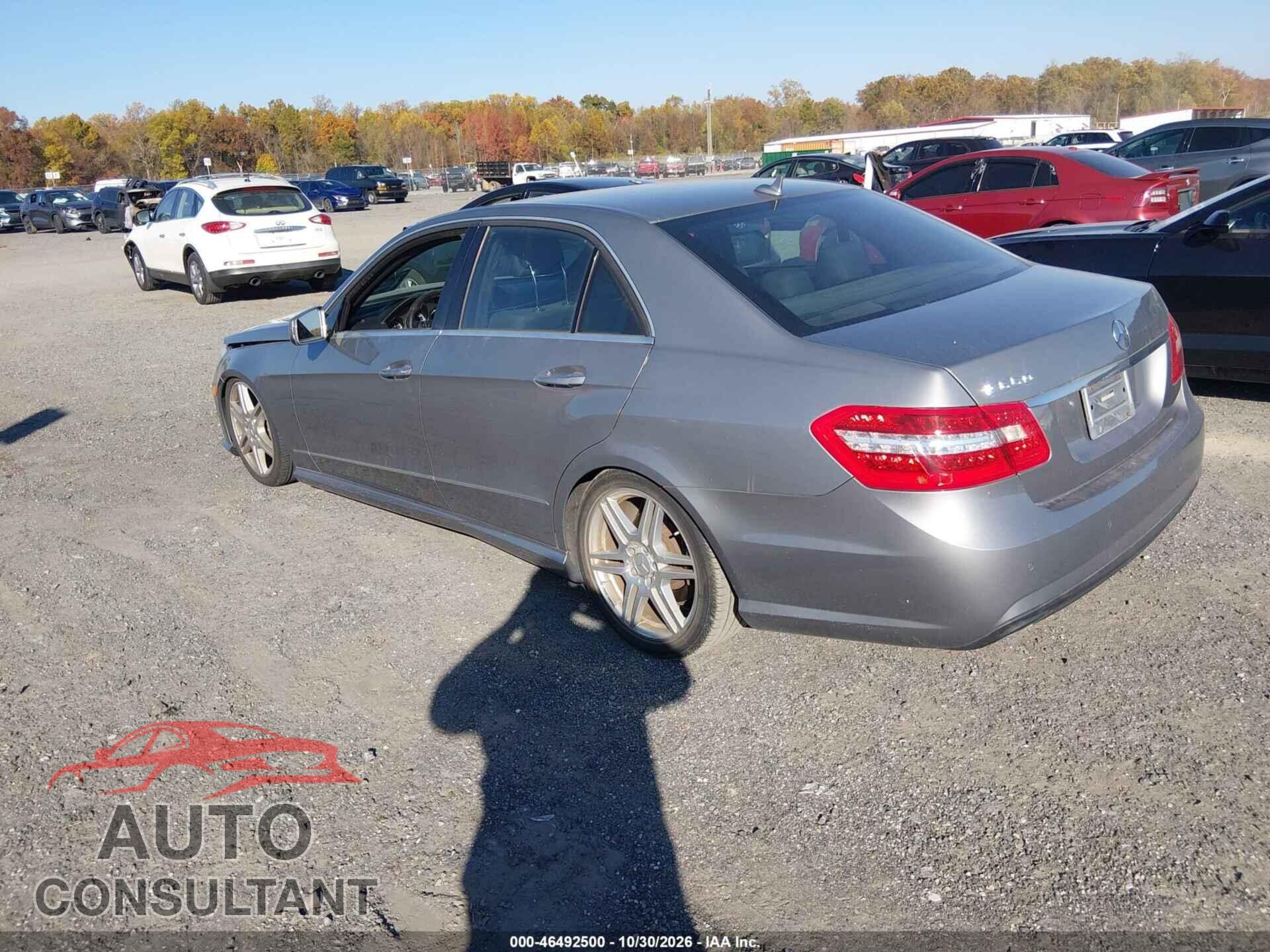 MERCEDES-BENZ E 550 2010 - WDDHF7CB8AA018013