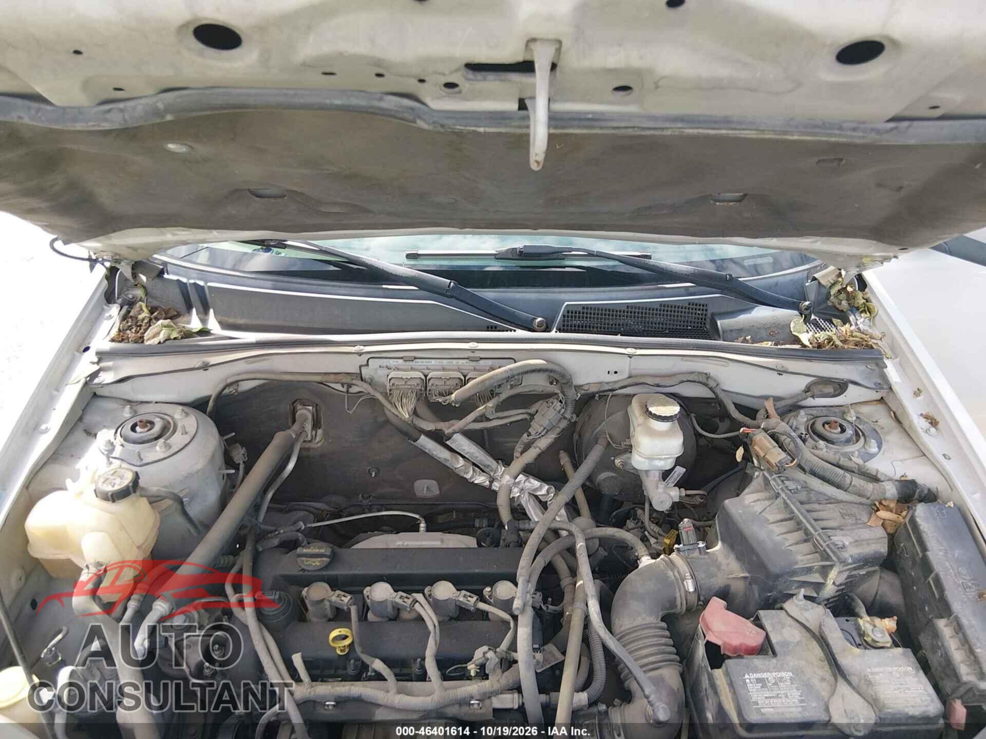FORD ESCAPE 2009 - 1FMCU03729KC85355
