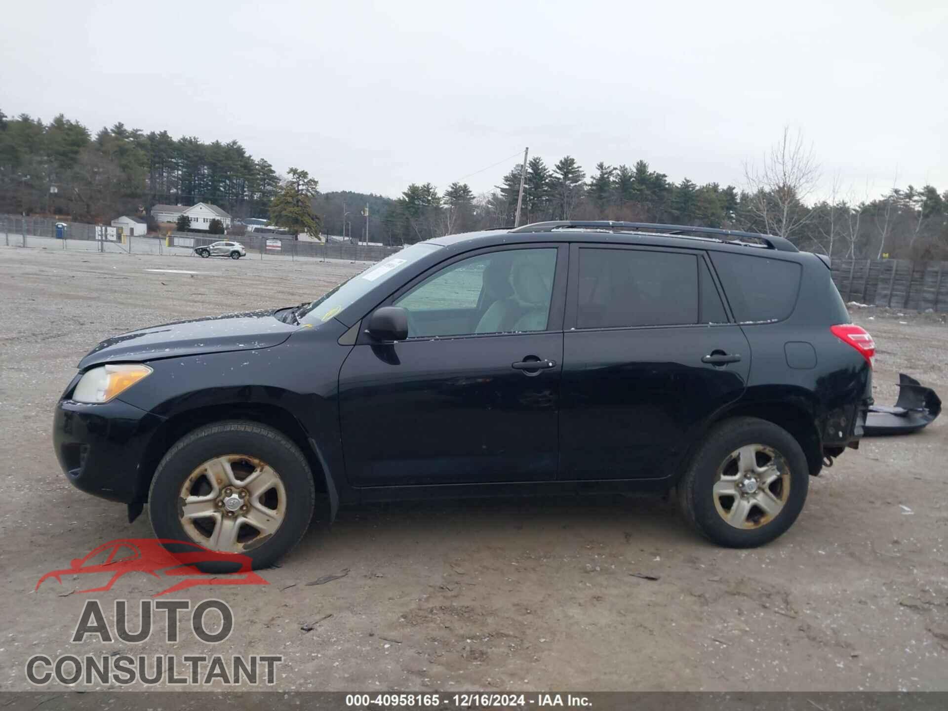 TOYOTA RAV4 2011 - 2T3BF4DV6BW155784