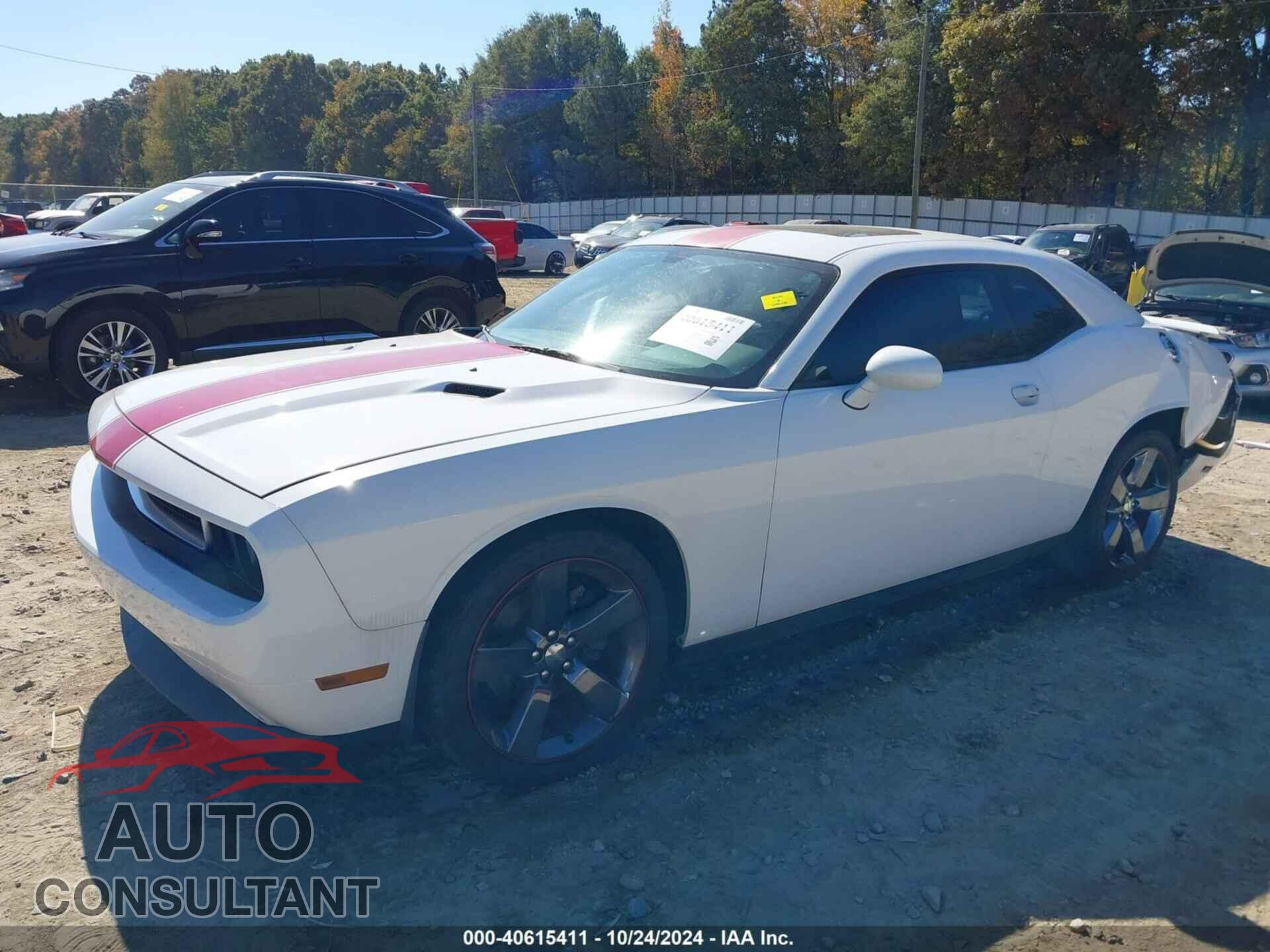 DODGE CHALLENGER 2013 - 2C3CDYAG6DH737253