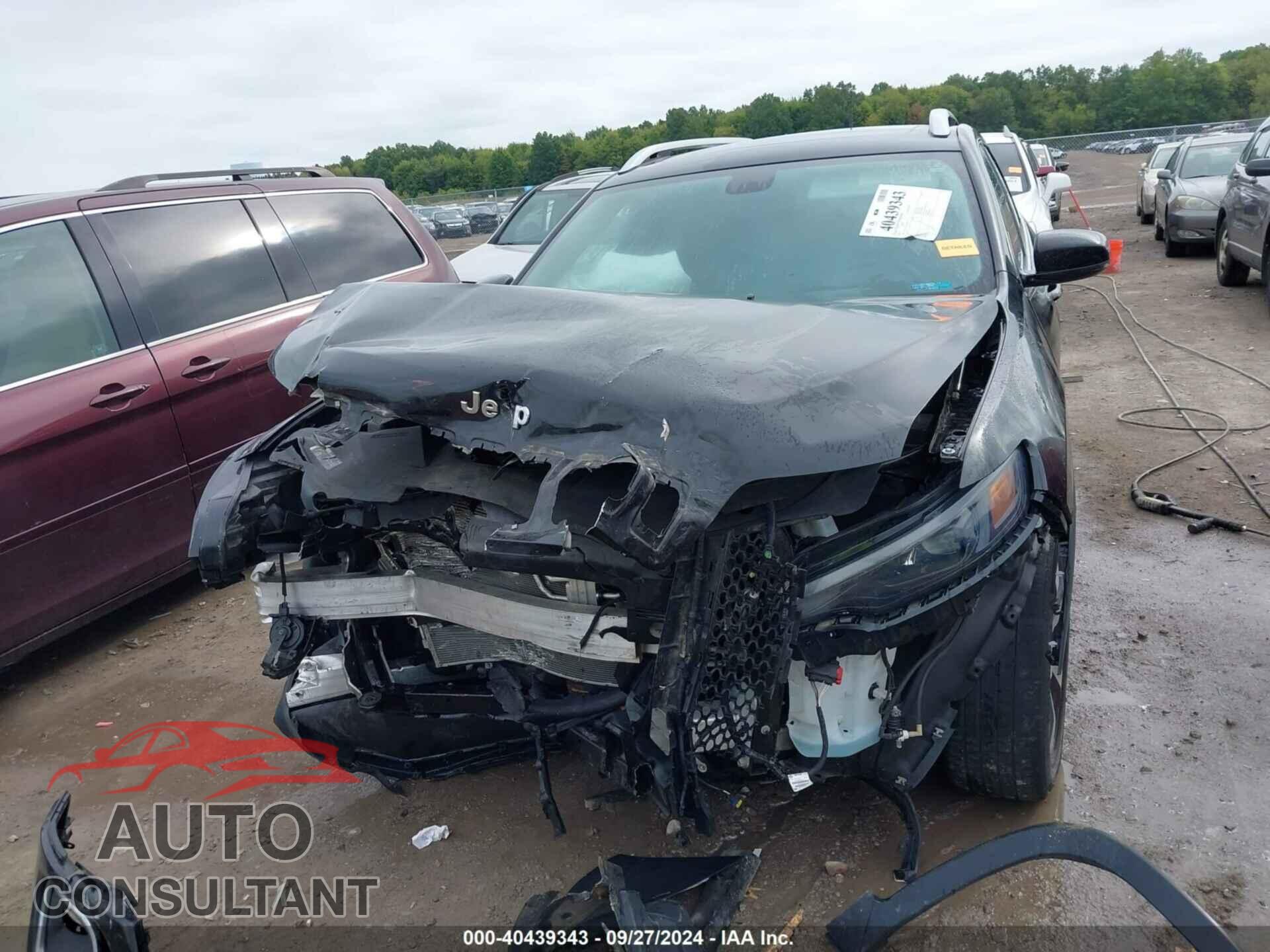JEEP CHEROKEE 2019 - 1C4PJMDX7KD394330
