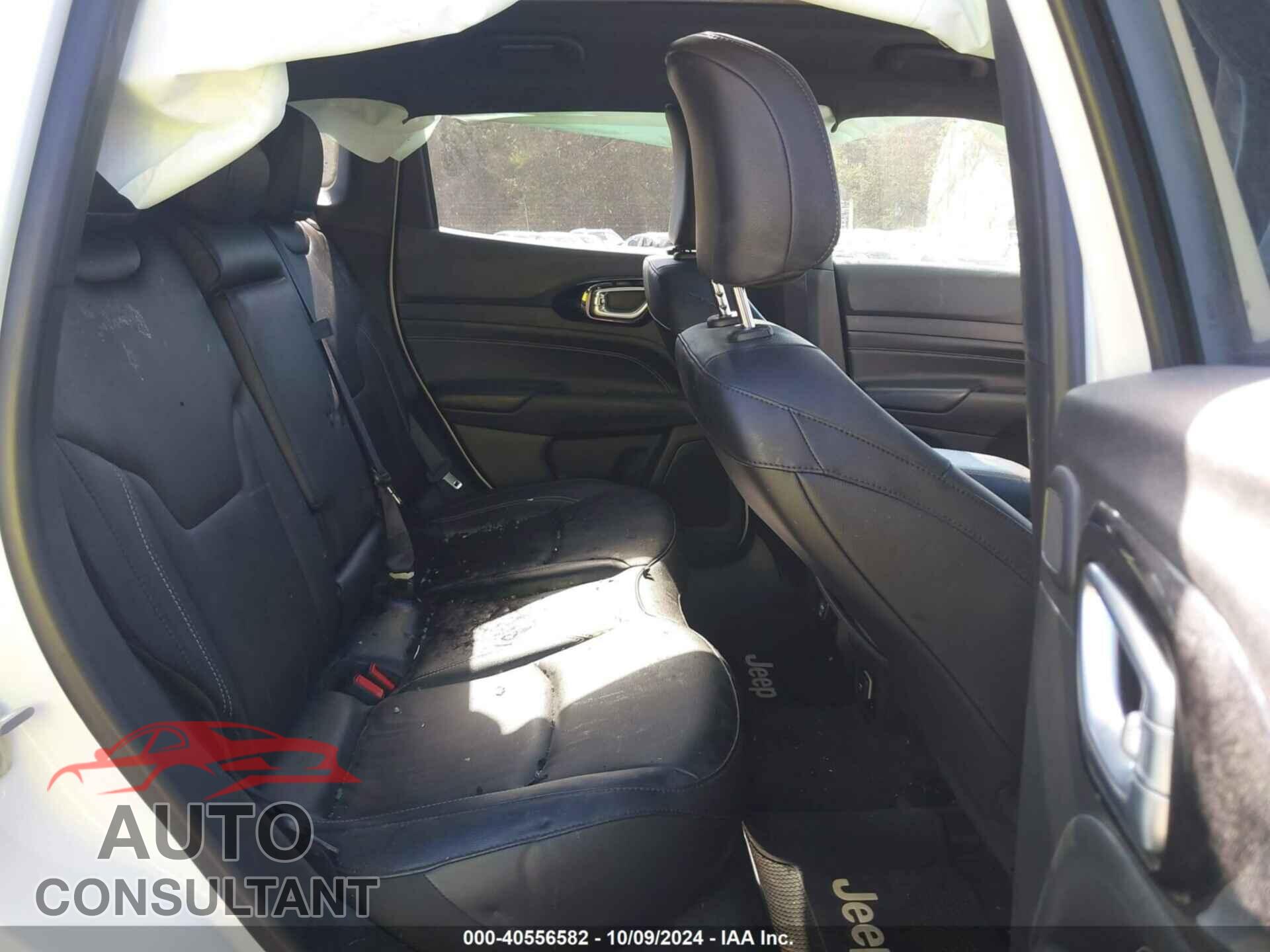 JEEP COMPASS 2024 - 3C4NJDCN0RT583459