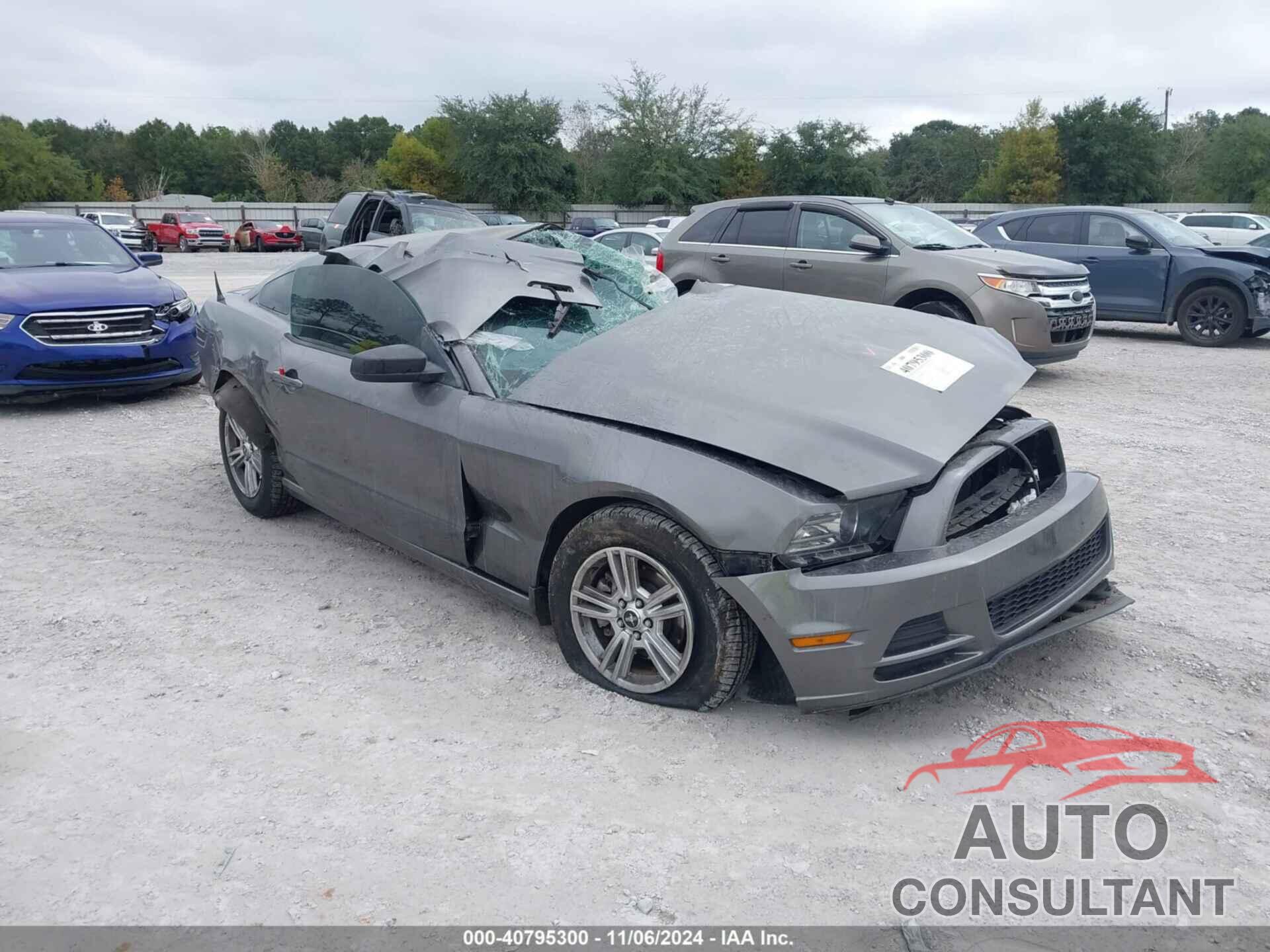 FORD MUSTANG 2014 - 1ZVBP8AMXE5313116