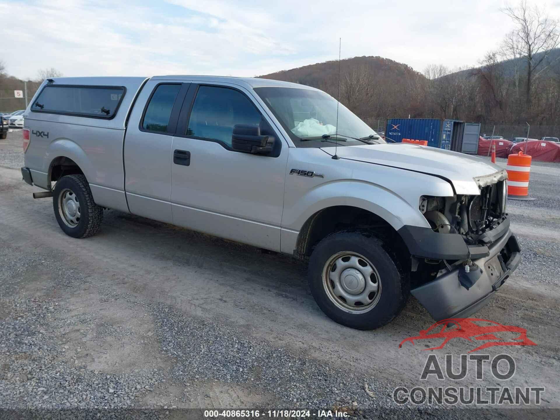 FORD F-150 2011 - 1FTFX1EF1BFA95872