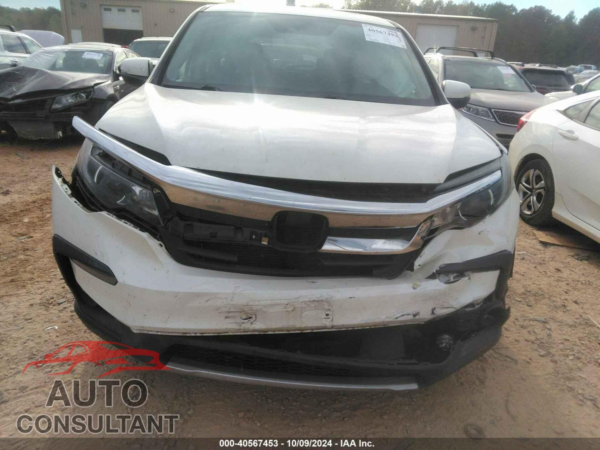 HONDA PILOT 2019 - 5FNYF5H41KB009302