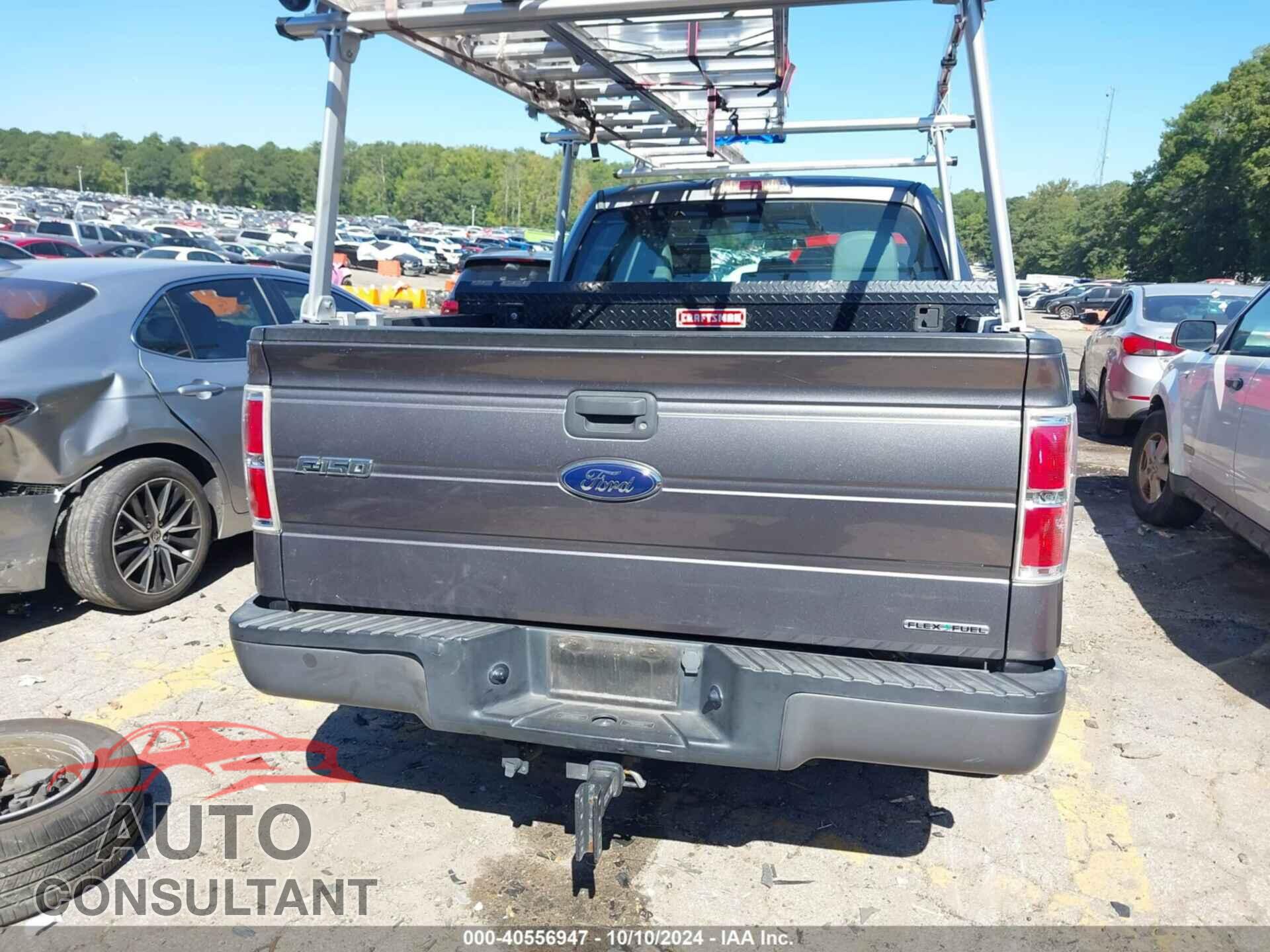 FORD F-150 2013 - 1FTFX1CF3DFA41978
