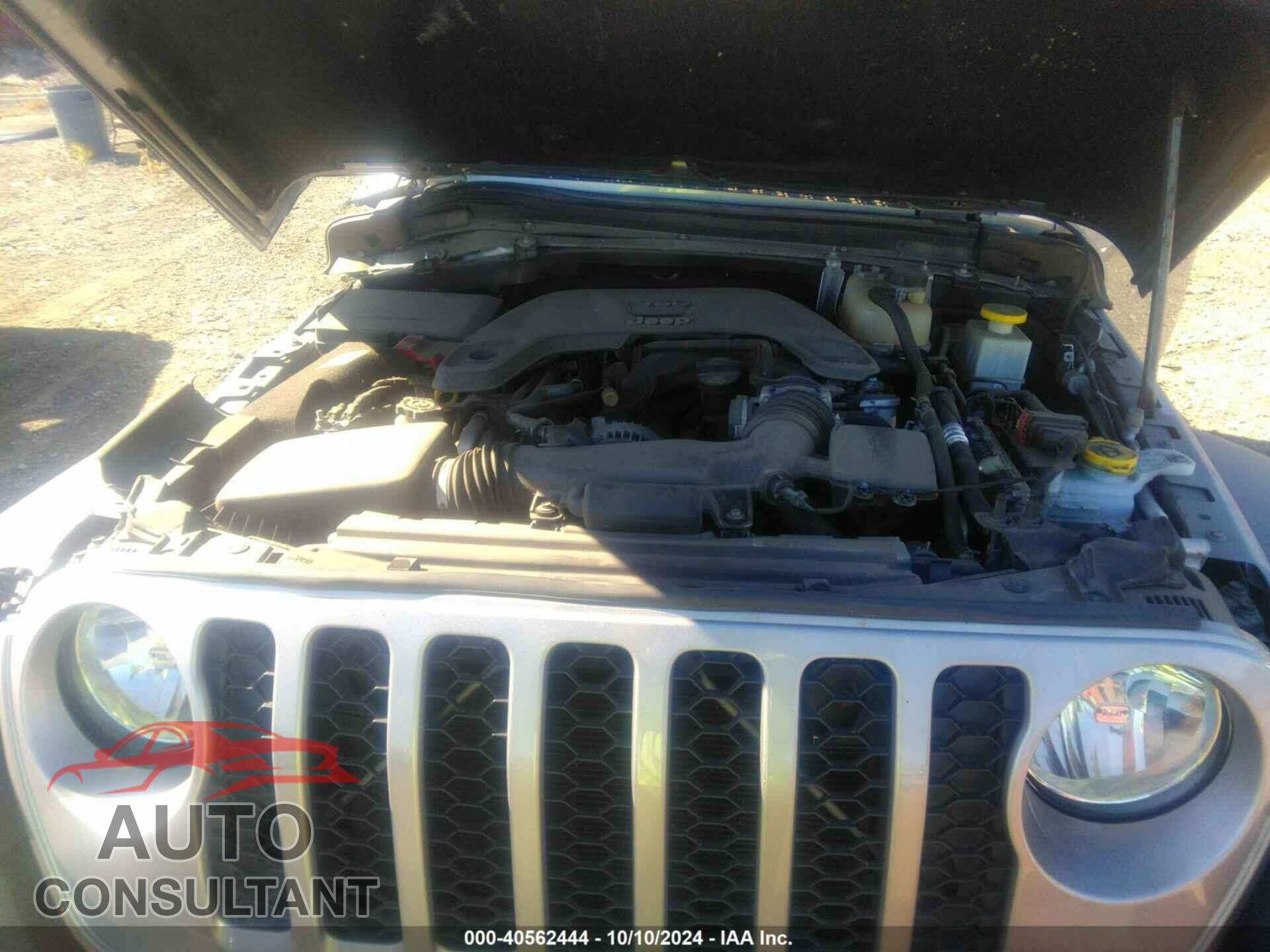 JEEP GLADIATOR 2020 - 1C6JJTAG6LL109071