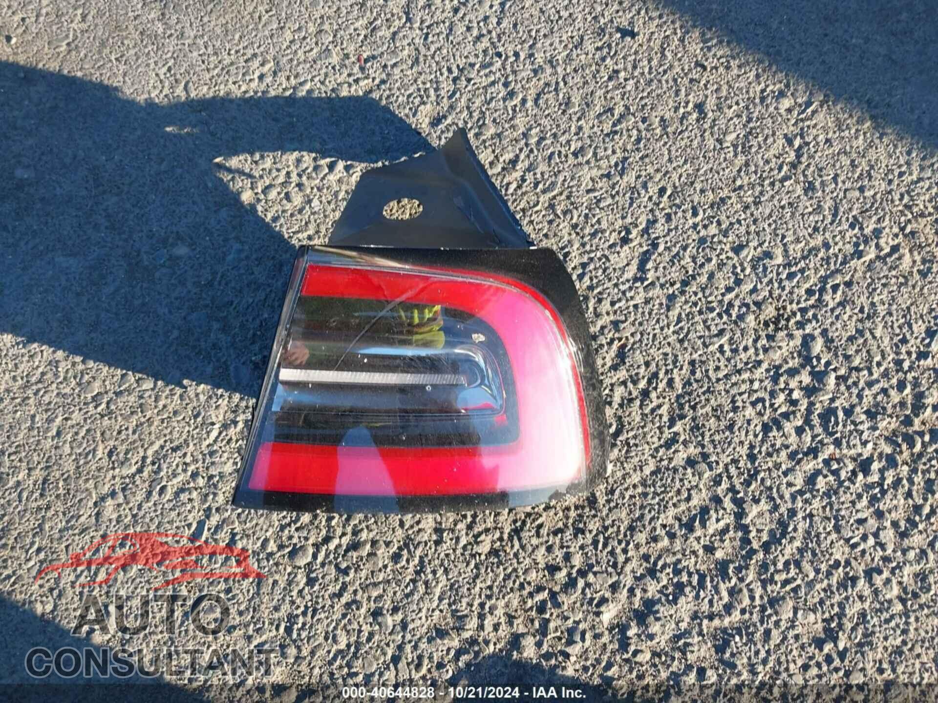 TESLA MODEL Y 2024 - 7SAYGDEE7RF031404