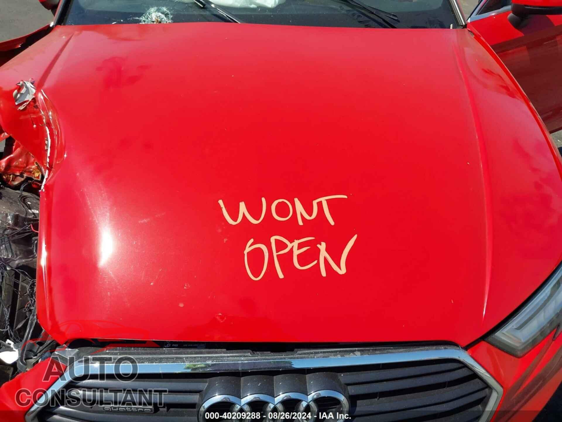 AUDI A3 2019 - WAUJEGFF7KA099713