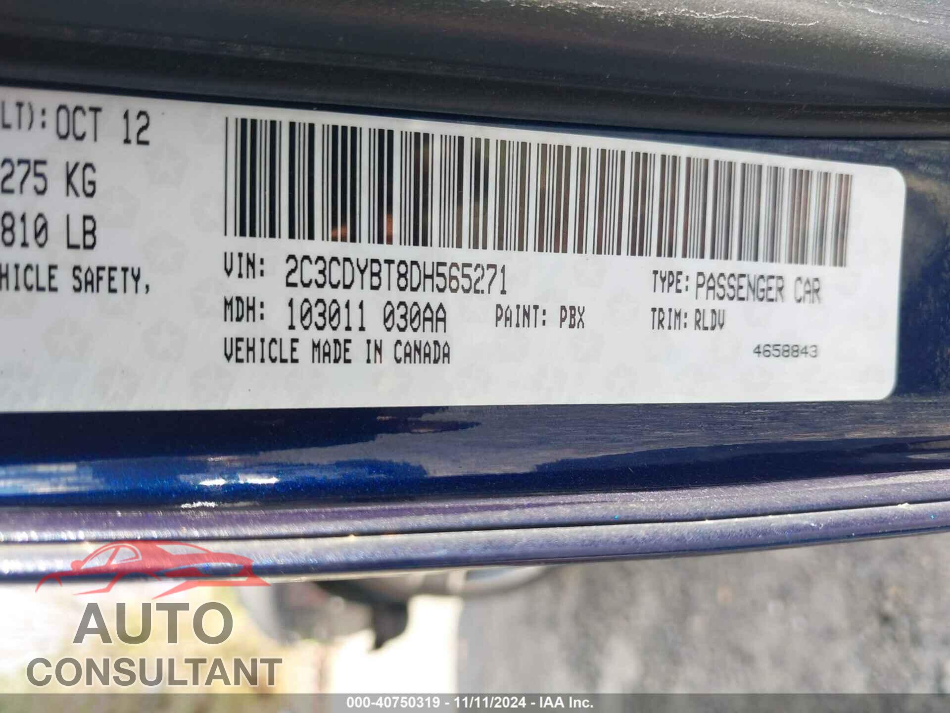 DODGE CHALLENGER 2013 - 2C3CDYBT8DH565271