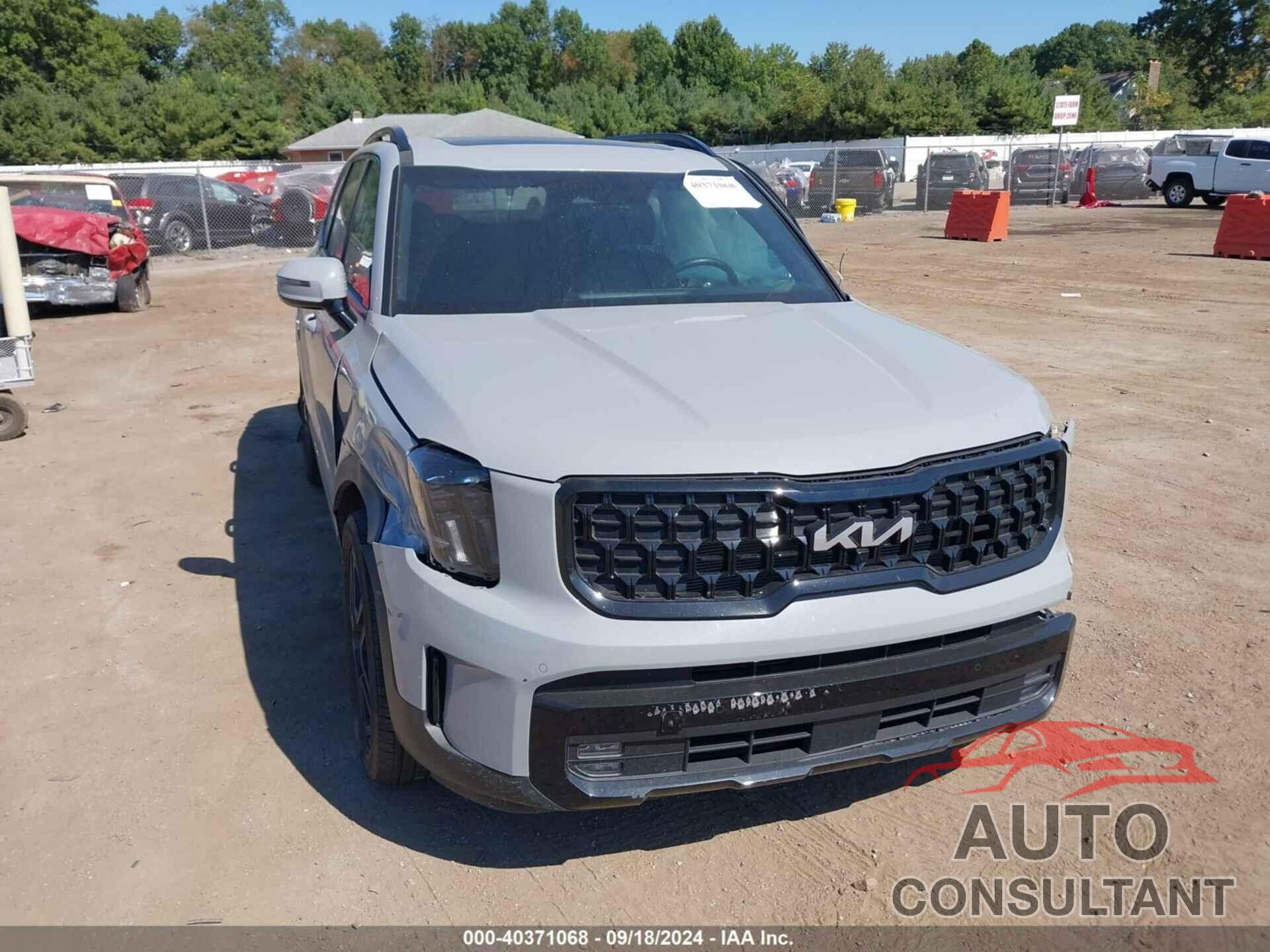 KIA TELLURIDE 2024 - 5XYP5DGC5RG427995