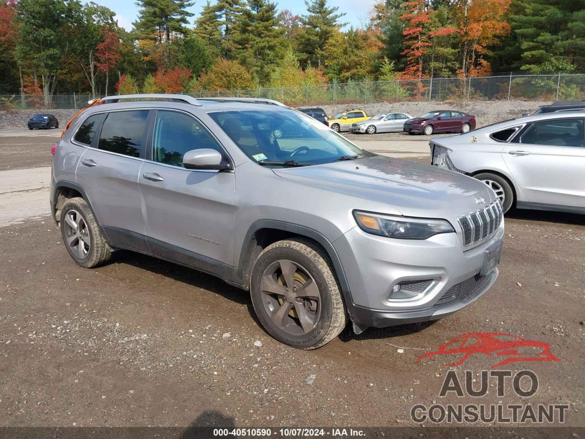 JEEP CHEROKEE 2019 - 1C4PJMDX7KD228809