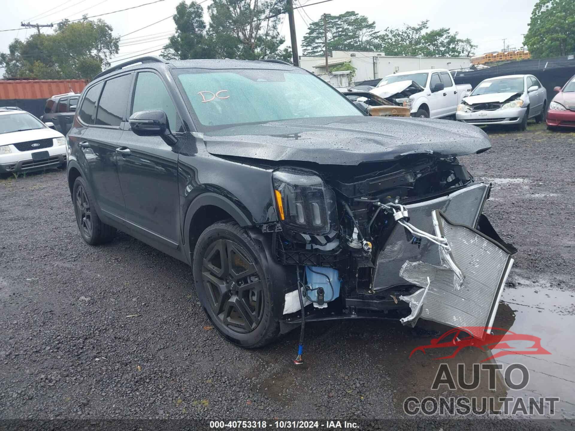 KIA TELLURIDE 2024 - 5XYP5DGC7RG494243
