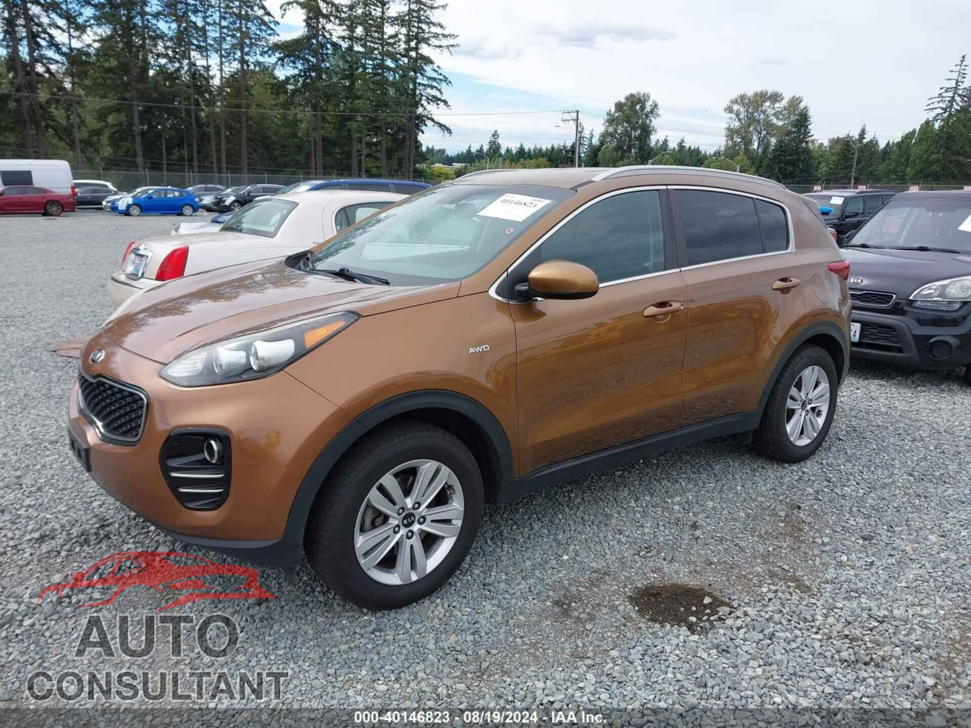 KIA SPORTAGE 2017 - KNDPMCAC0H7048159
