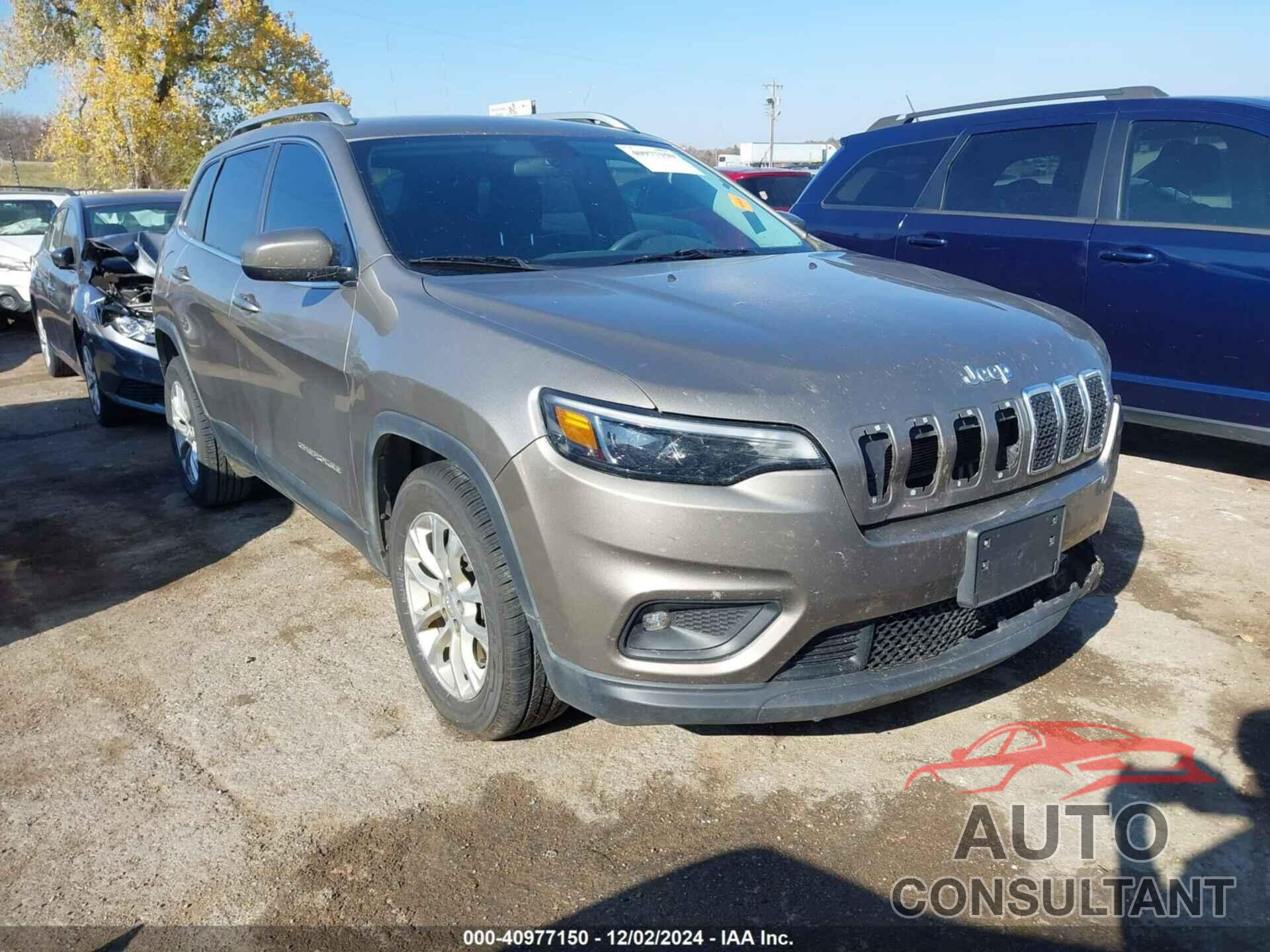JEEP CHEROKEE 2019 - 1C4PJLCB2KD153470