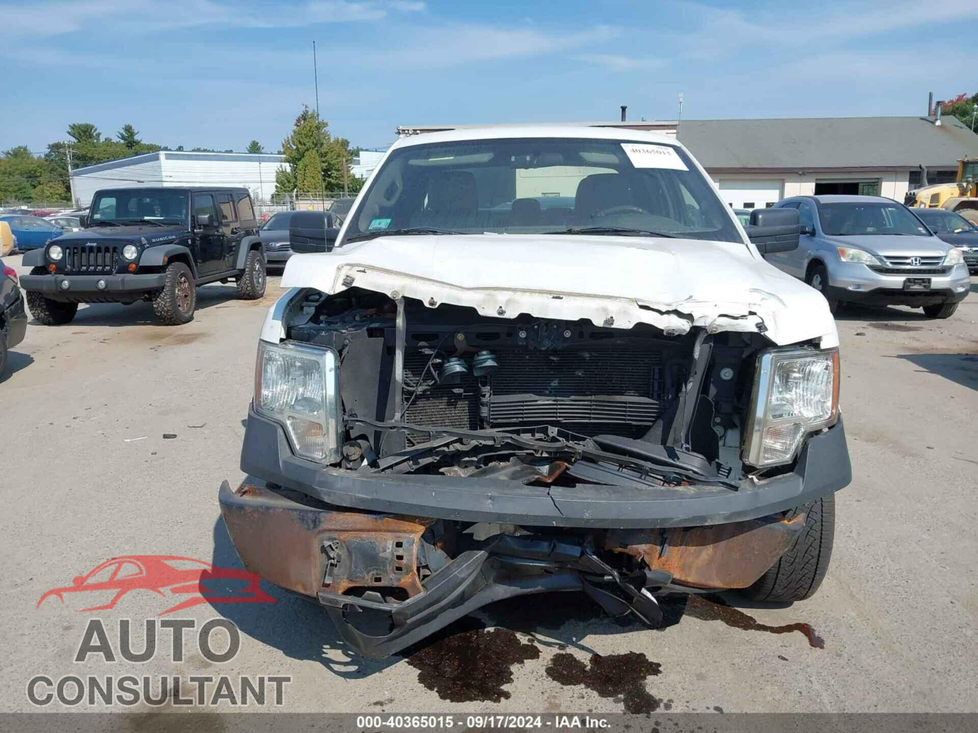 FORD F-150 2014 - 1FTFX1EF4EKE45667
