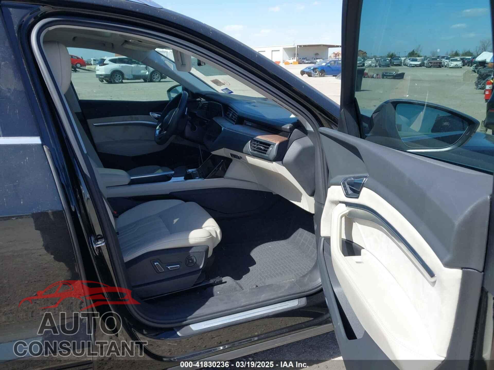 AUDI E-TRON 2019 - WA1VAAGE6KB020622