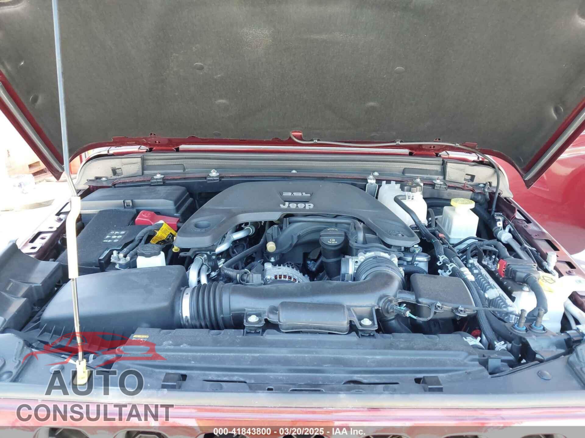 JEEP GLADIATOR 2021 - 1C6HJTFGXML553983