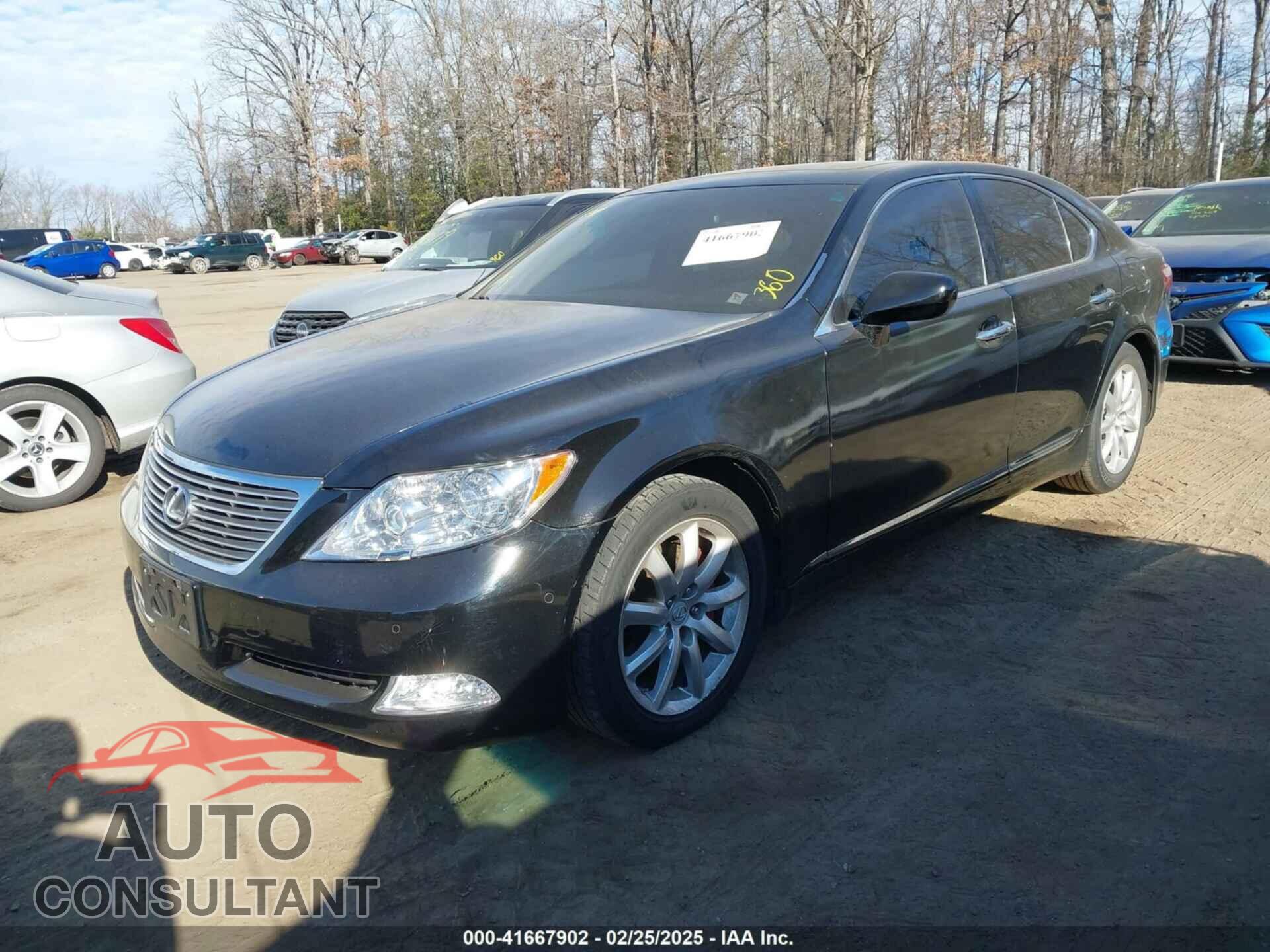 LEXUS LS 460 2009 - JTHBL46F895091066