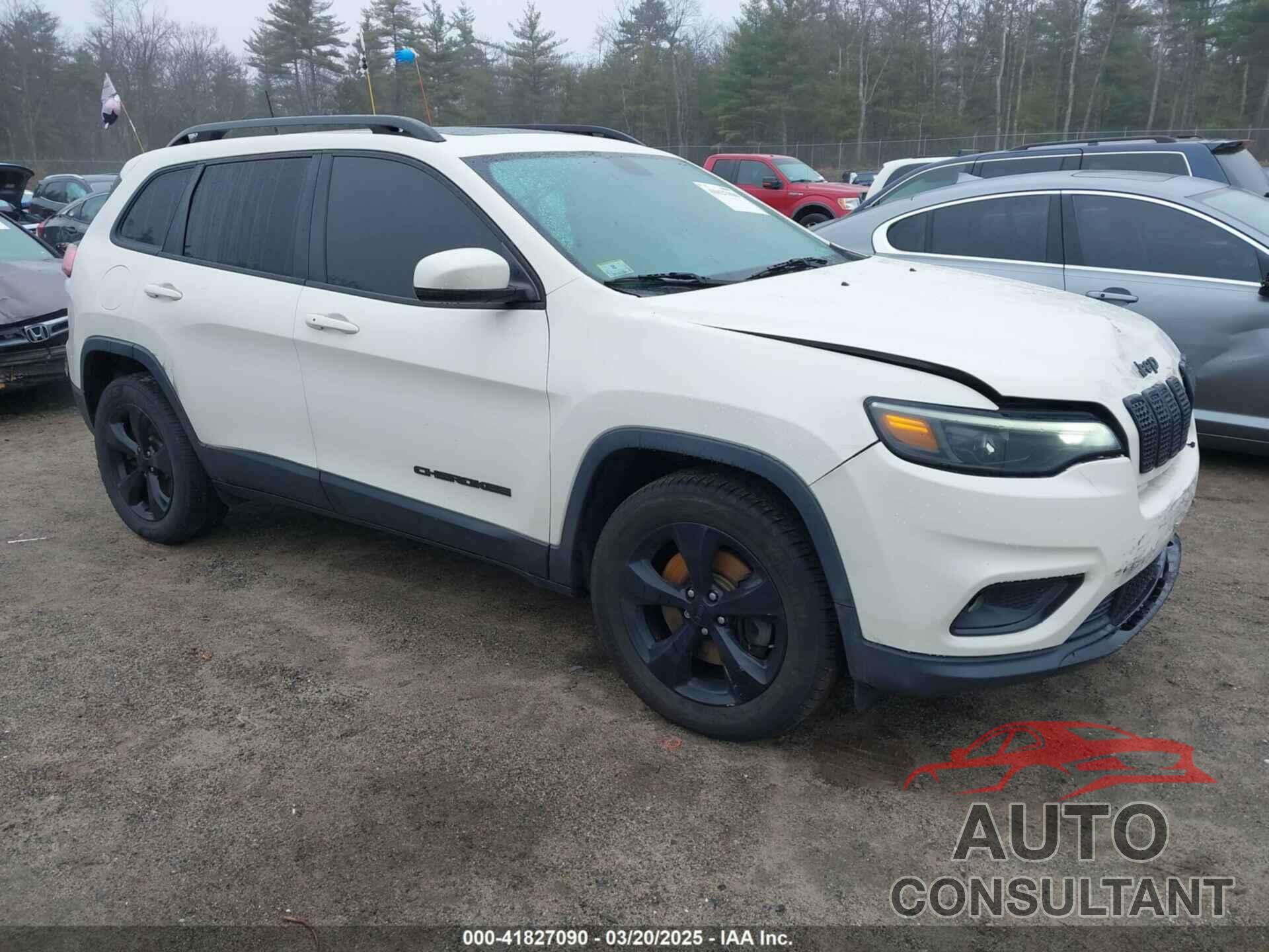JEEP CHEROKEE 2019 - 1C4PJMLXXKD311619