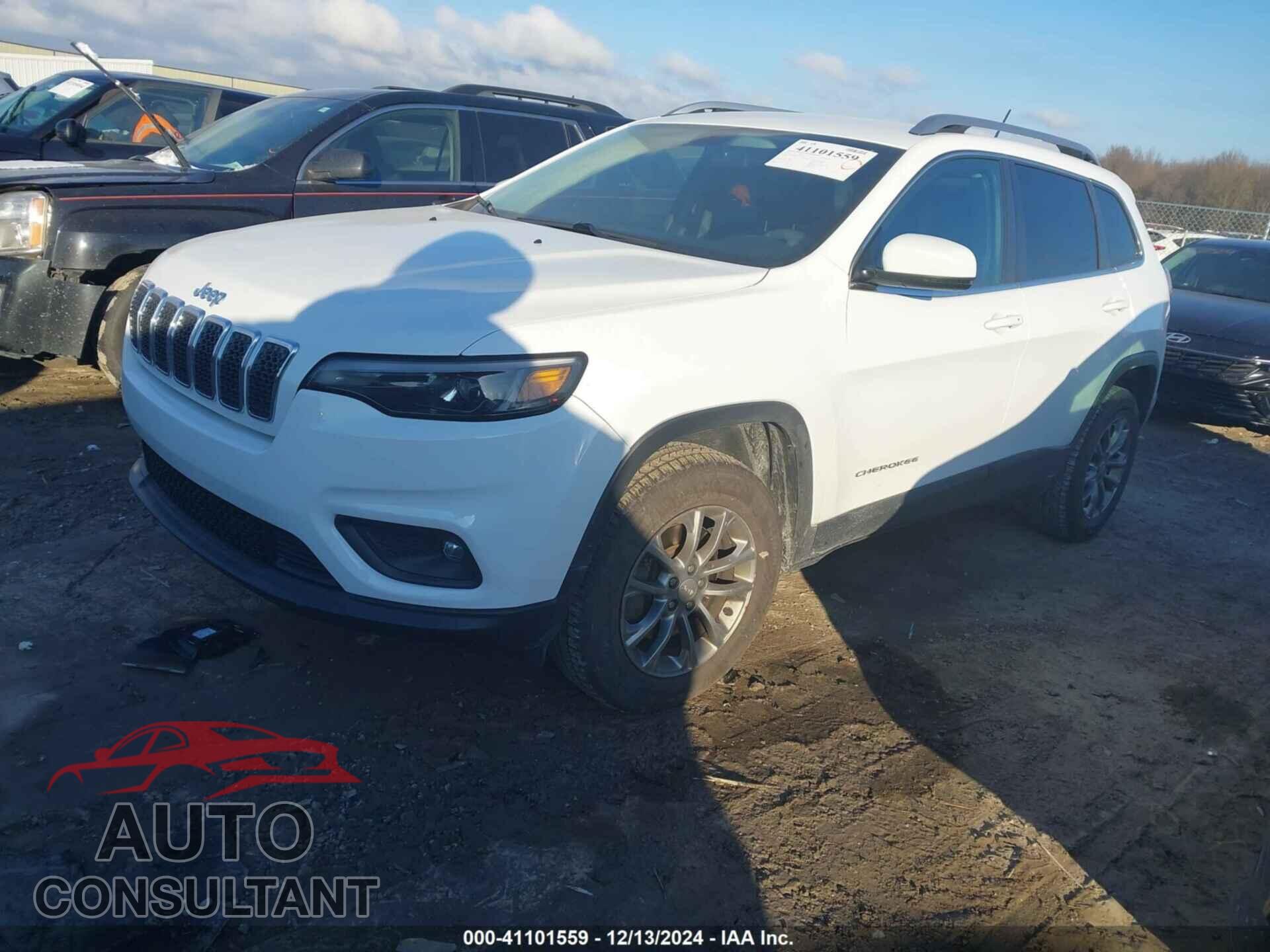 JEEP CHEROKEE 2020 - 1C4PJMLB5LD546984