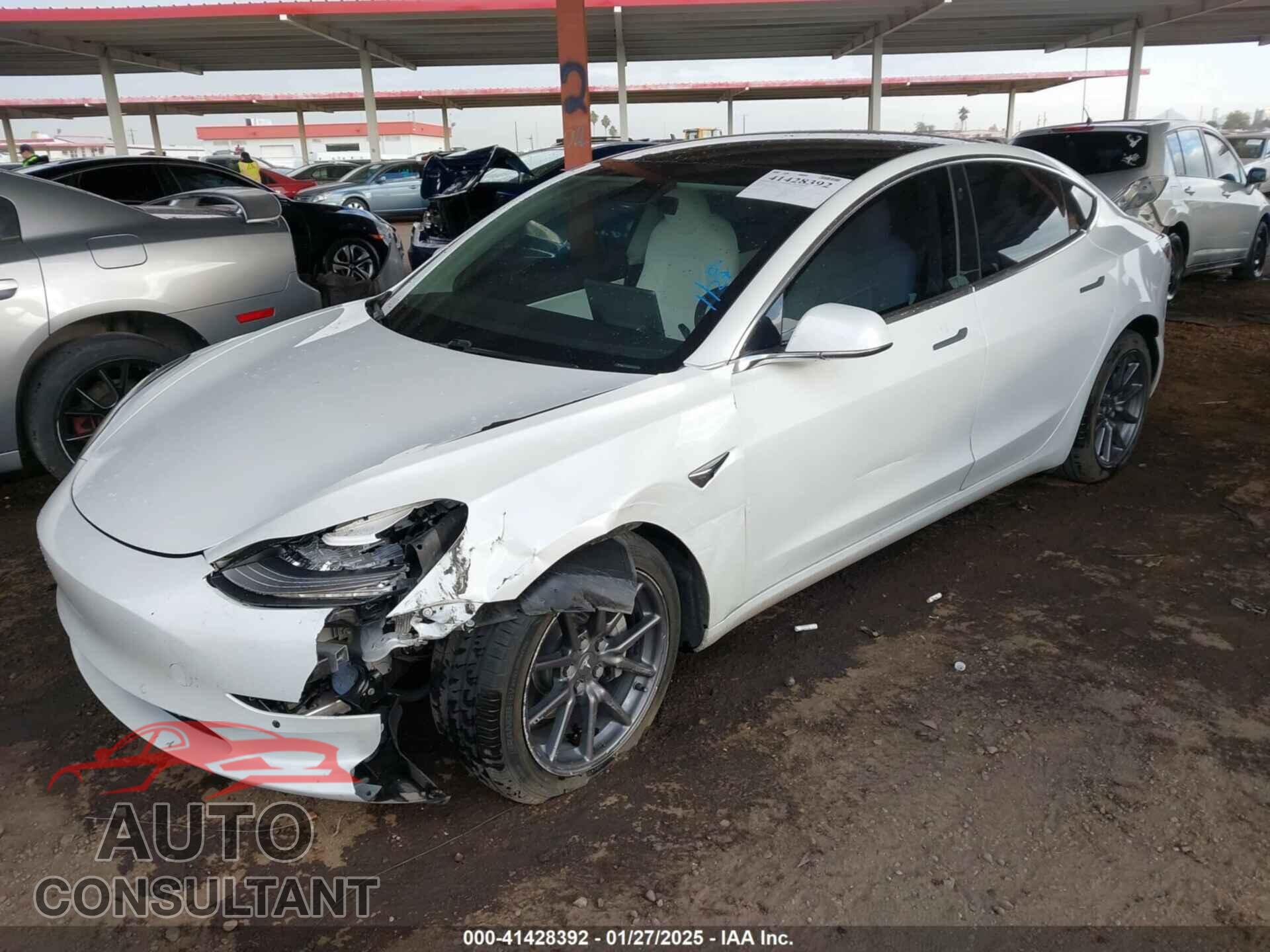 TESLA MODEL 3 2019 - 5YJ3E1EA4KF402940
