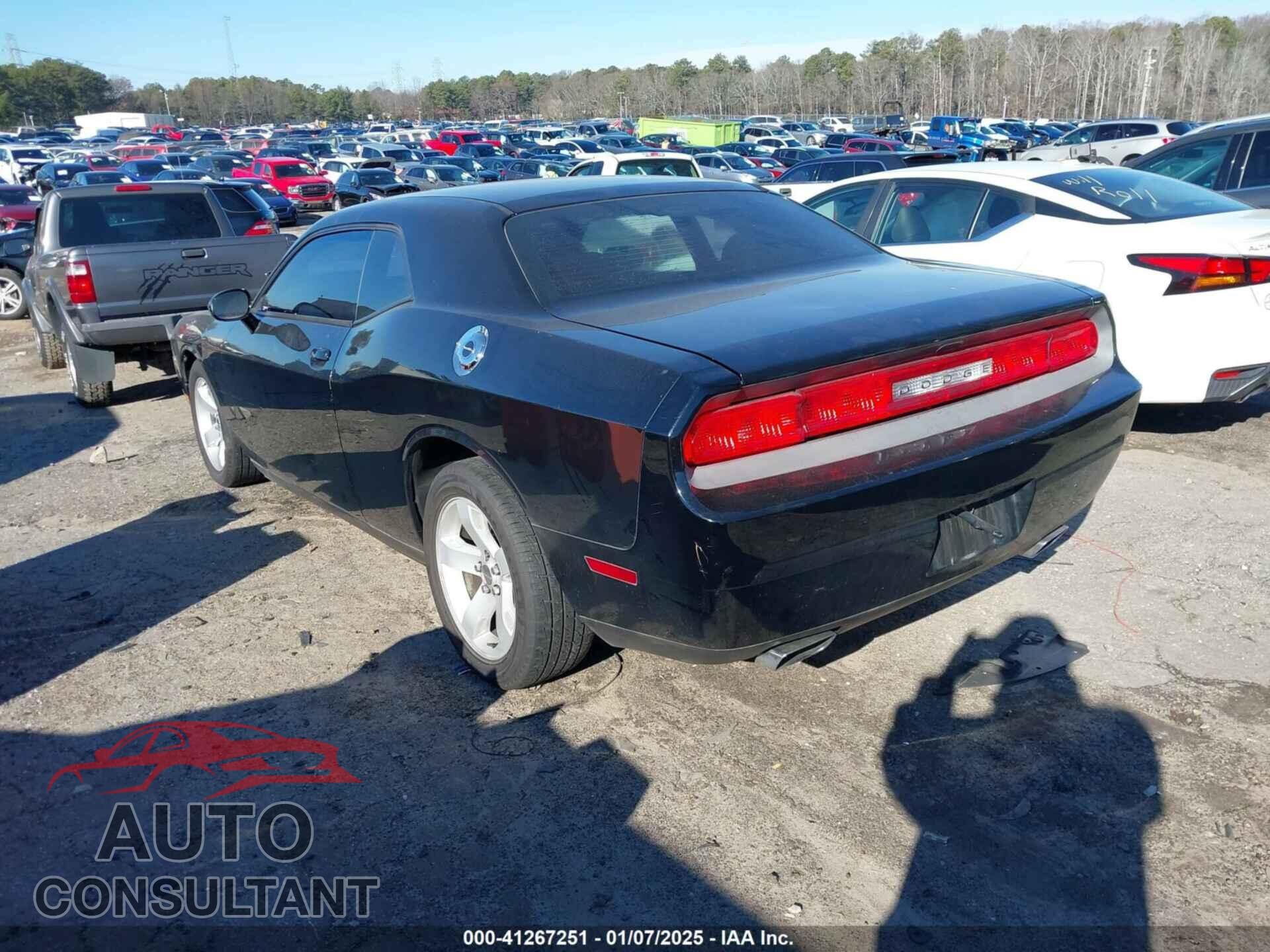 DODGE CHALLENGER 2013 - 2C3CDYAG8DH609287