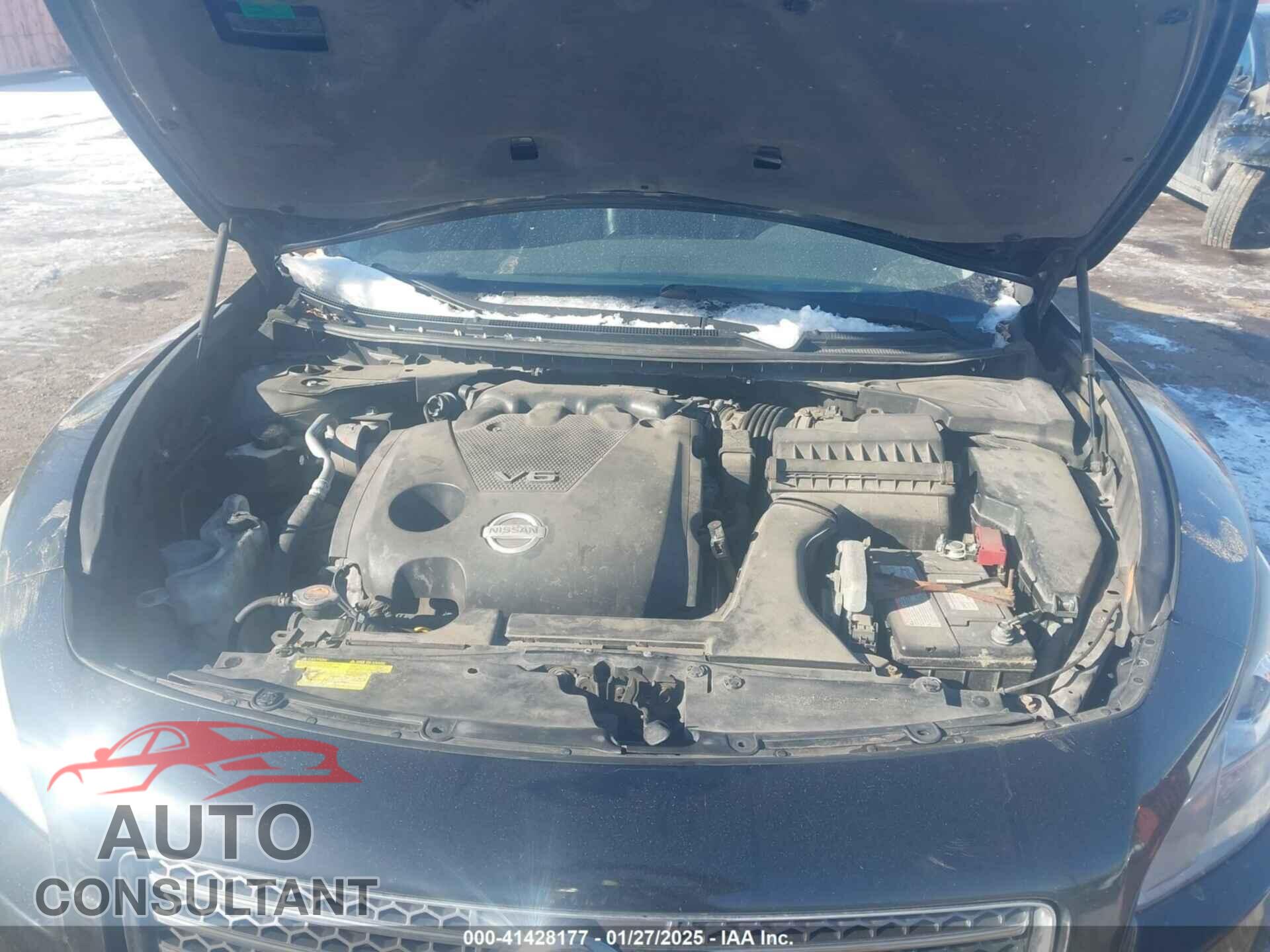 NISSAN MAXIMA 2009 - 1N4AA51E59C860311
