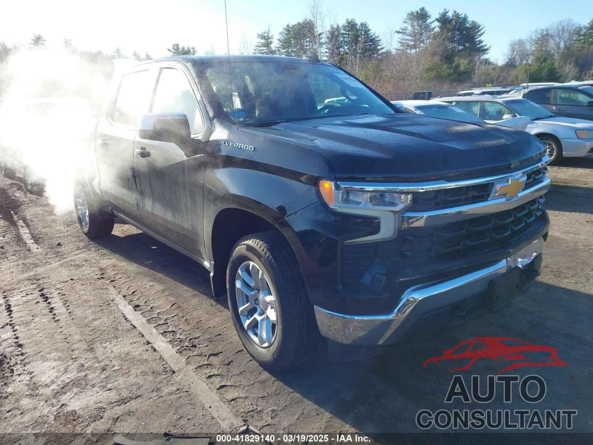 CHEVROLET SILVERADO 1500 2024 - 1GCPDKEK1RZ203156