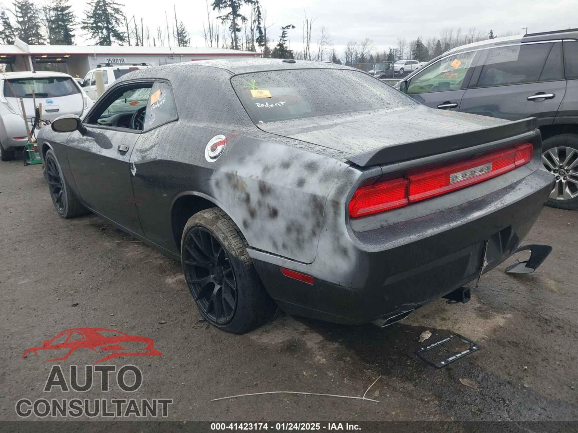 DODGE CHALLENGER 2014 - 2C3CDYAG8EH284397