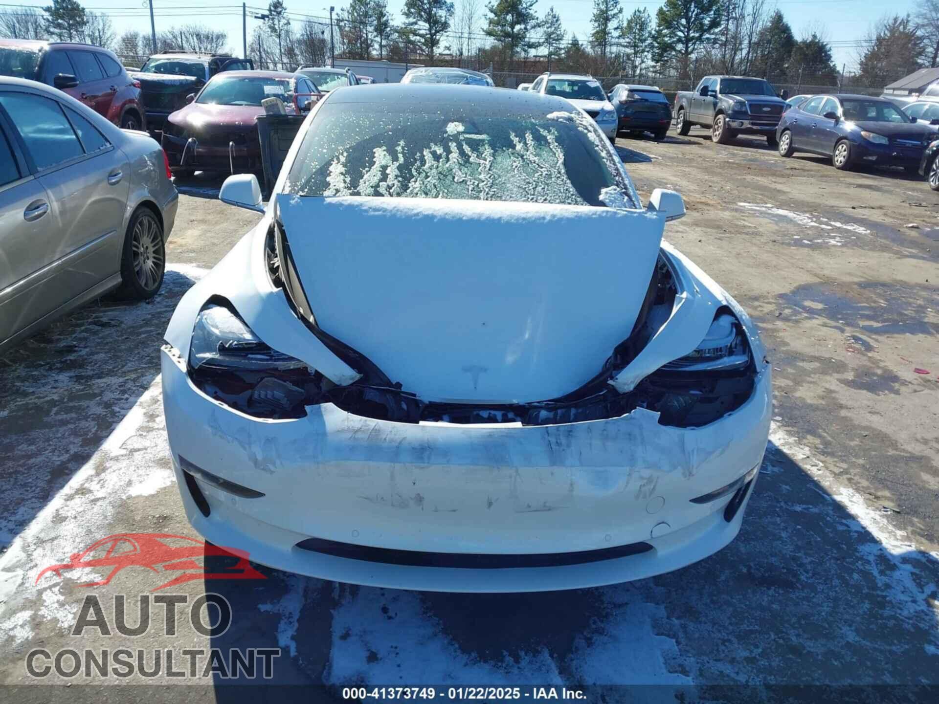 TESLA MODEL 3 2019 - 5YJ3E1EA1KF430775