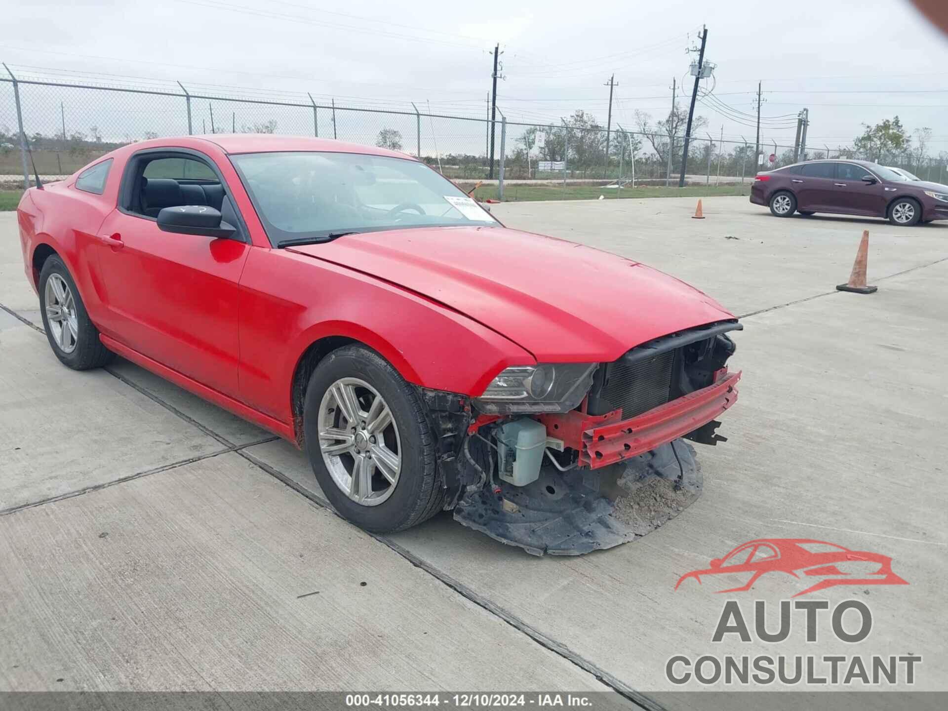 FORD MUSTANG 2013 - 1ZVBP8AM3D5278840