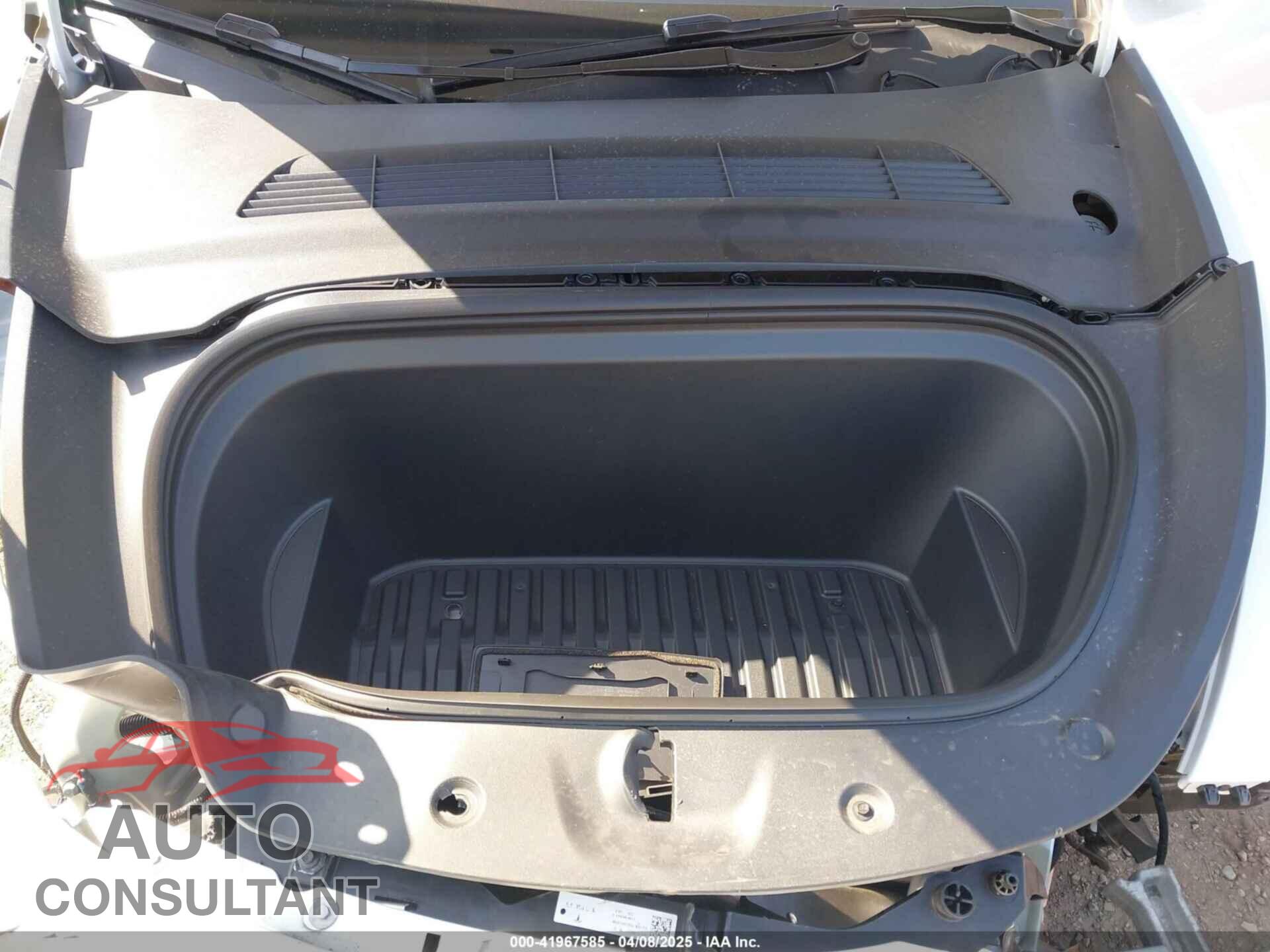 TESLA MODEL Y 2024 - 7SAYGDEE5RF126043