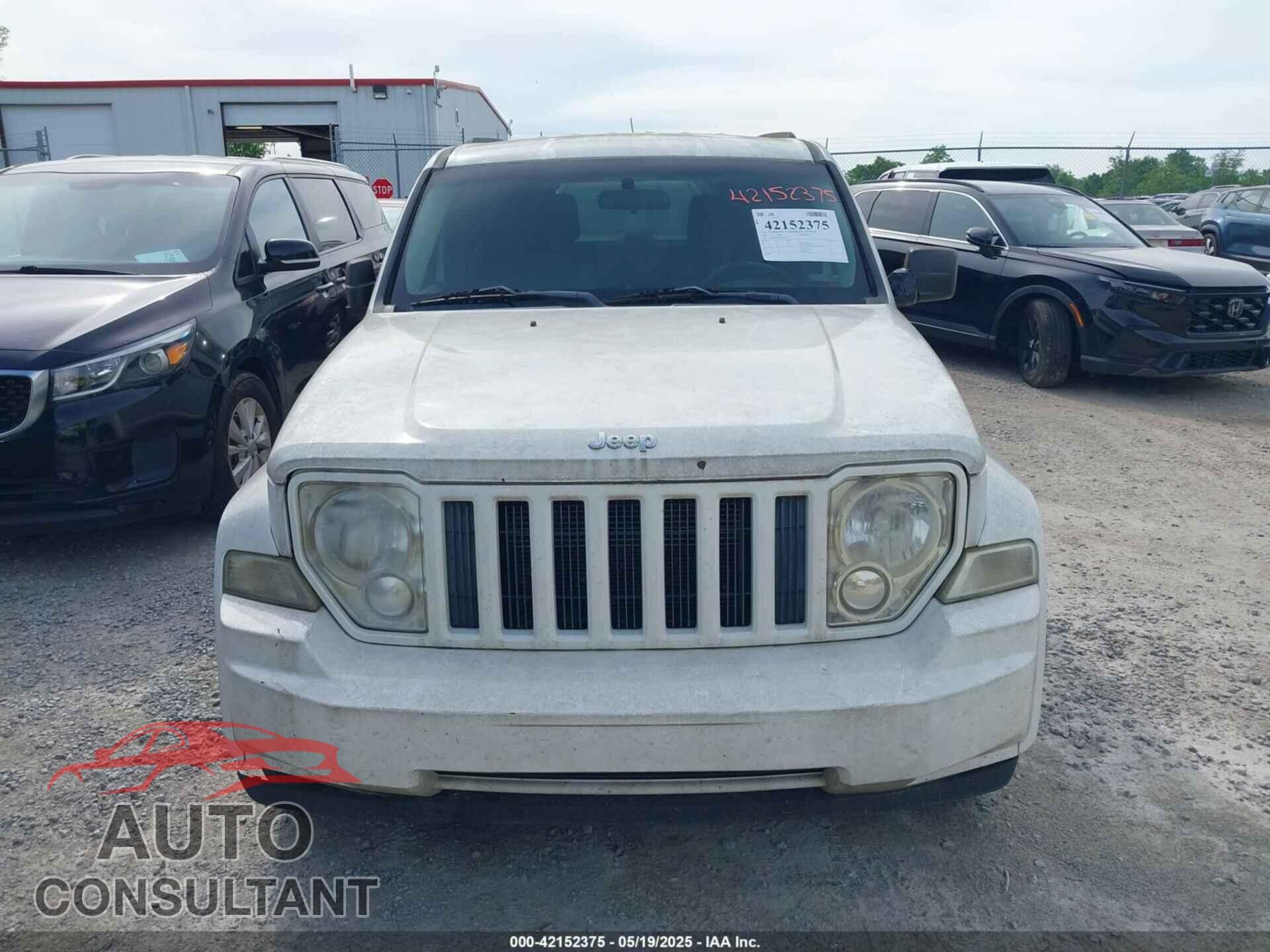 JEEP LIBERTY 2010 - 1J4PN2GK3AW166329