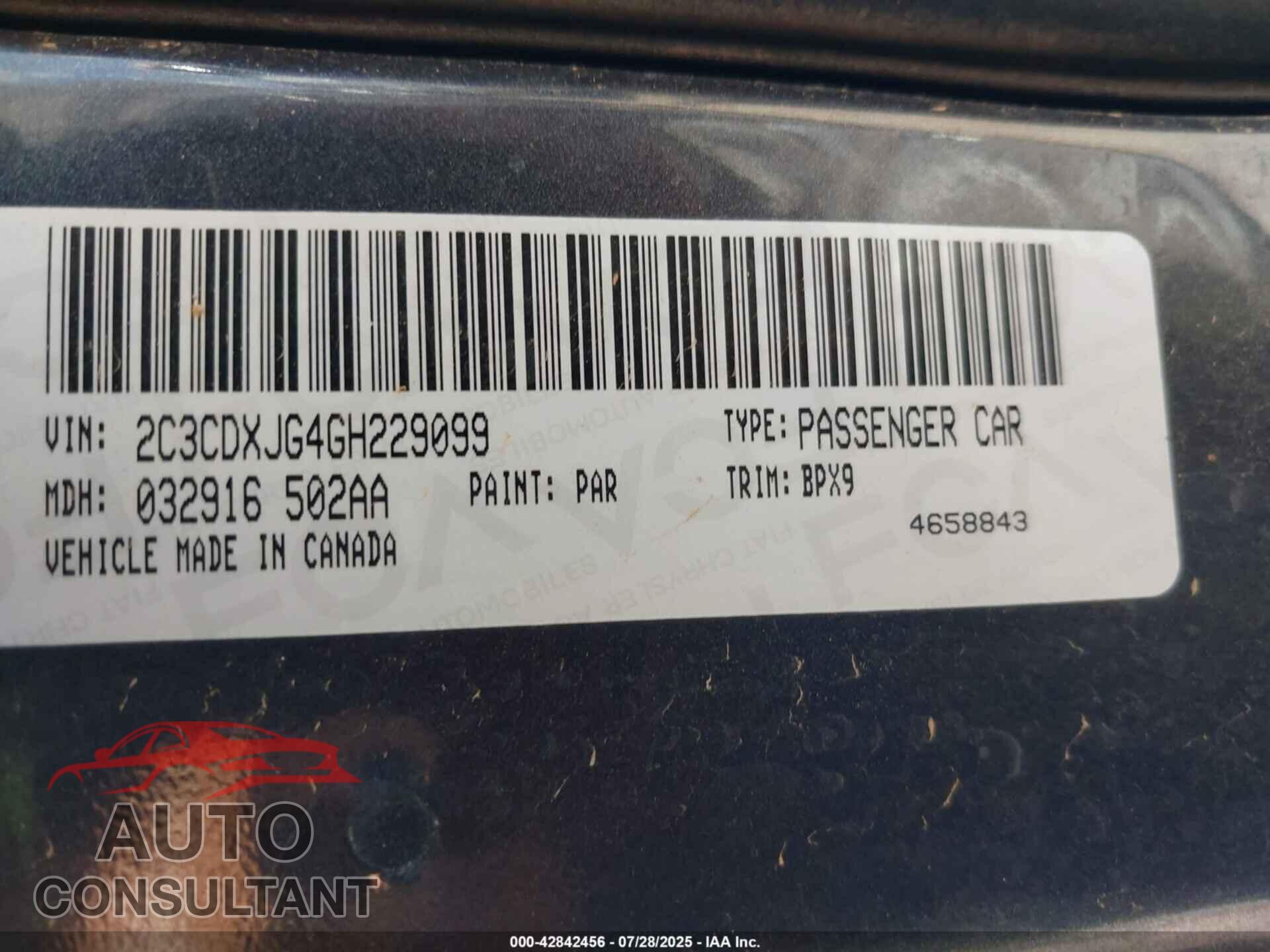 DODGE CHARGER 2016 - 2C3CDXJG4GH229099
