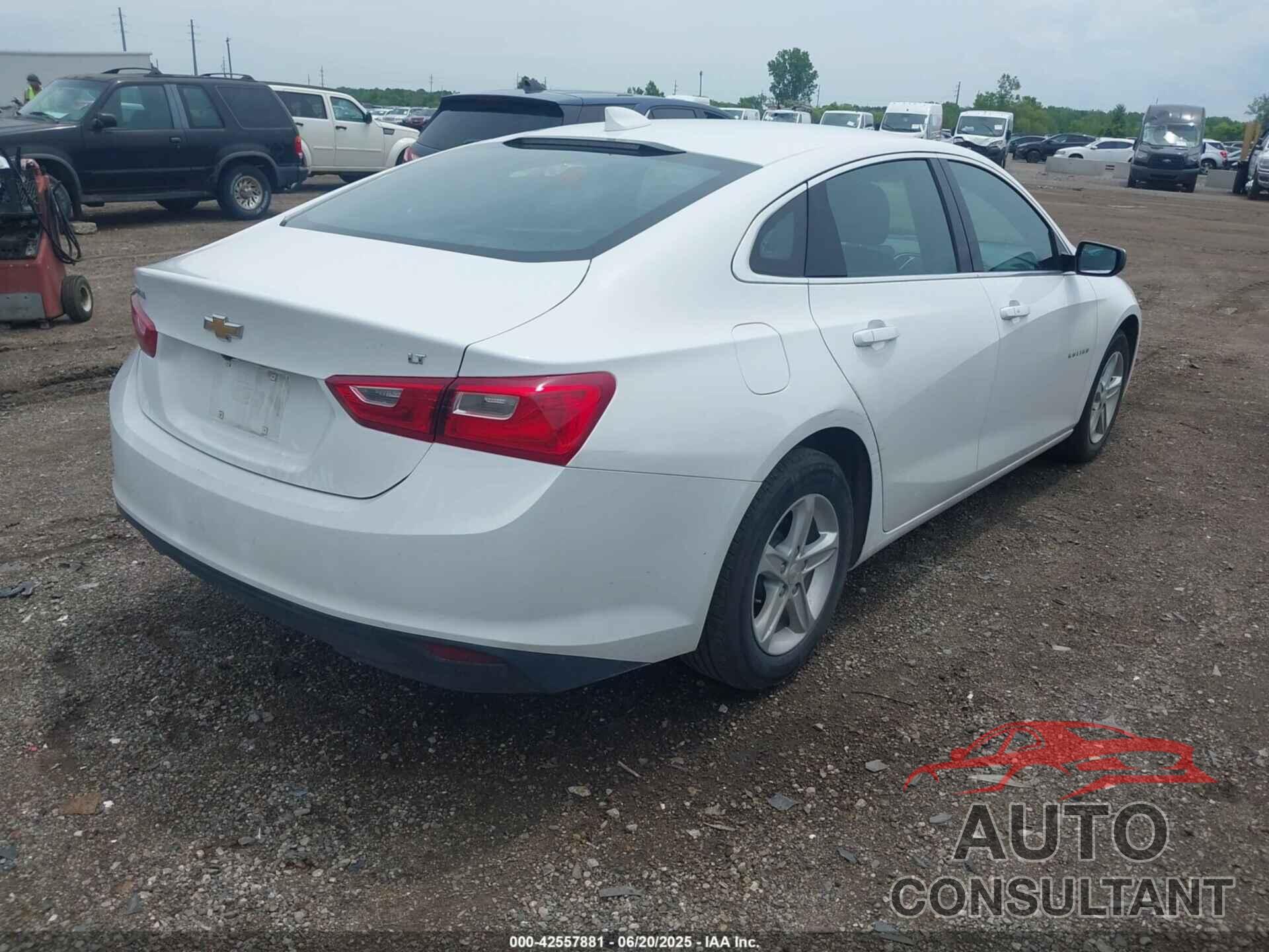 CHEVROLET MALIBU 2023 - 1G1ZD5ST1PF169475
