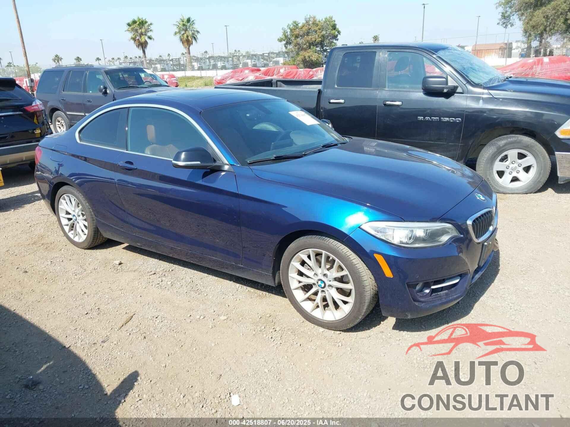 BMW 228I 2015 - WBA1F9C59FVW98387