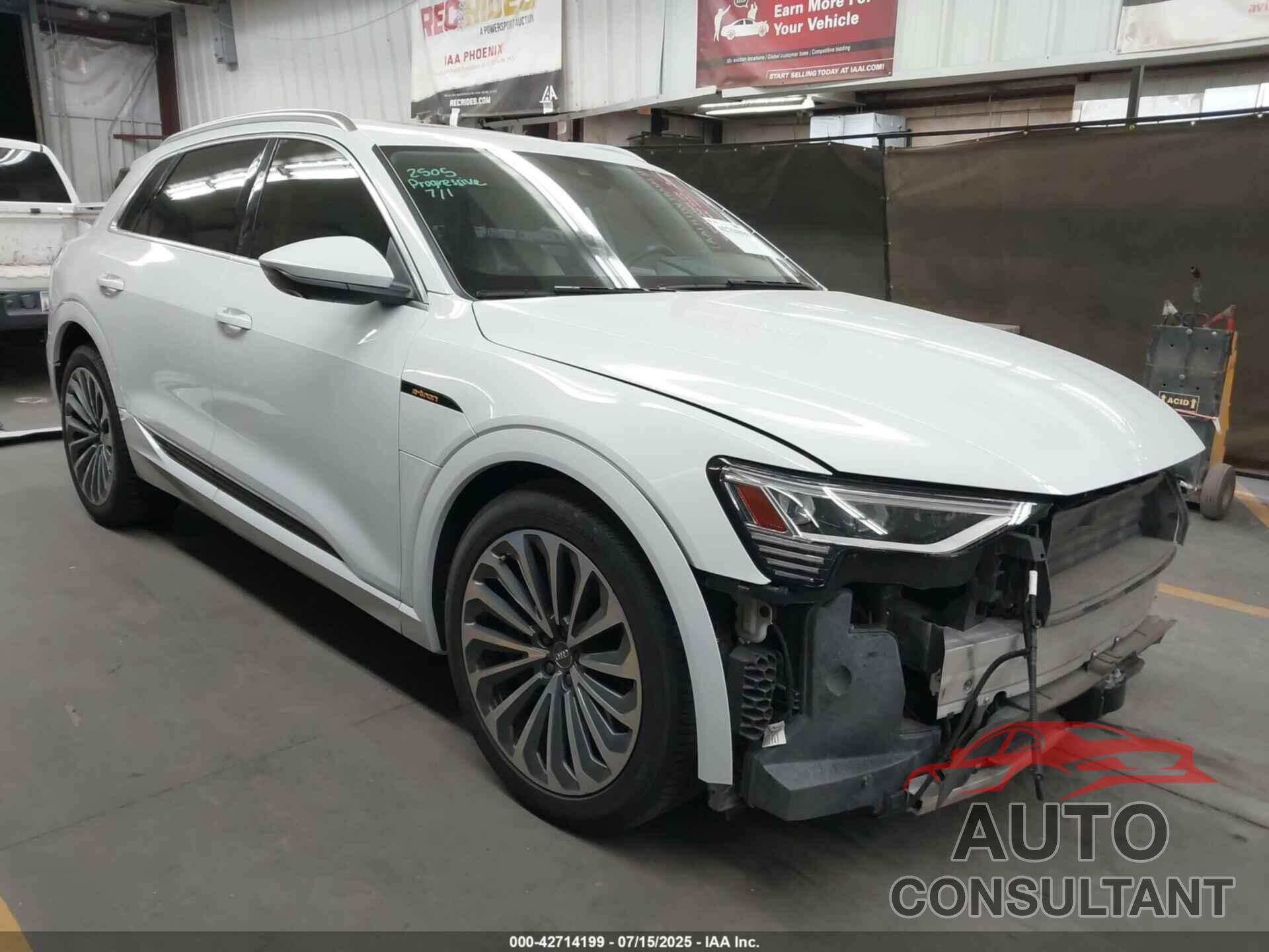 AUDI E-TRON 2019 - WA1VAAGE9KB011042