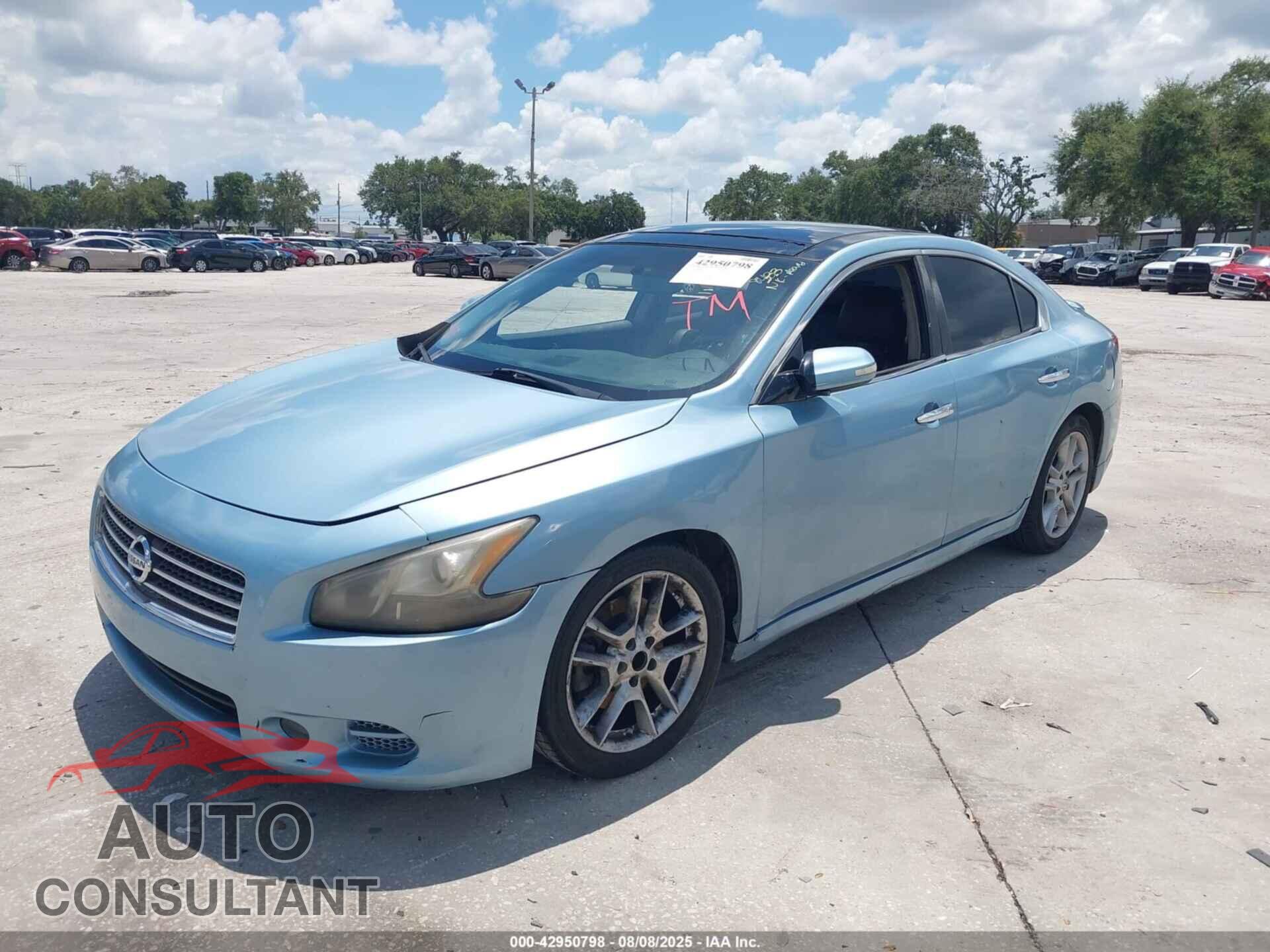 NISSAN MAXIMA 2011 - 1N4AA5AP2BC808433