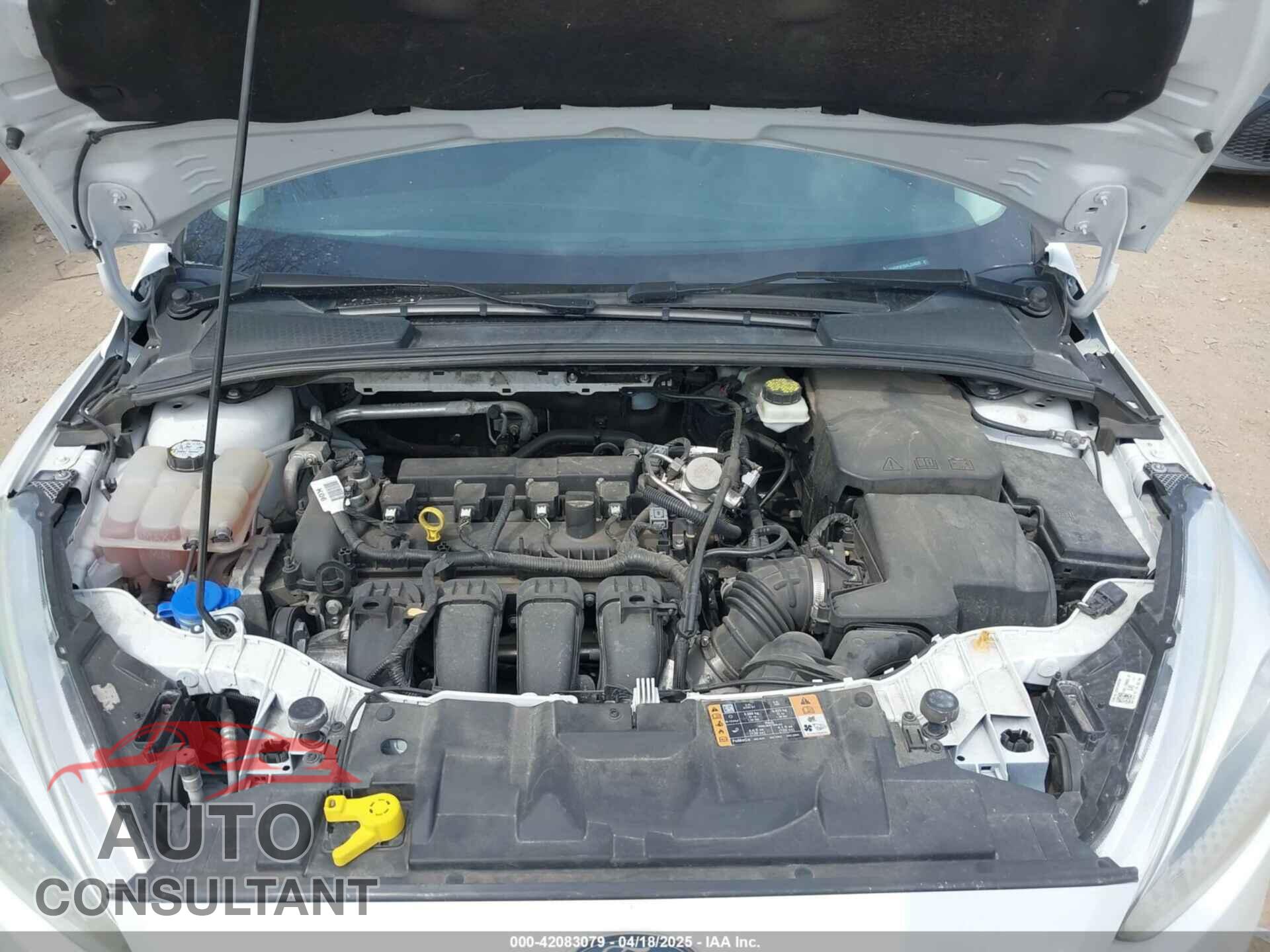 FORD FOCUS 2017 - 1FADP3F25HL234528