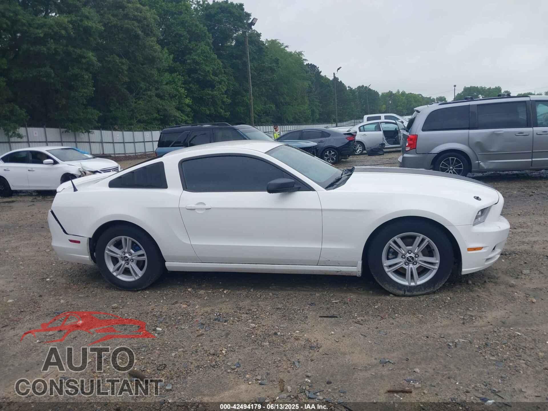 FORD MUSTANG 2013 - 1ZVBP8AM8D5242951