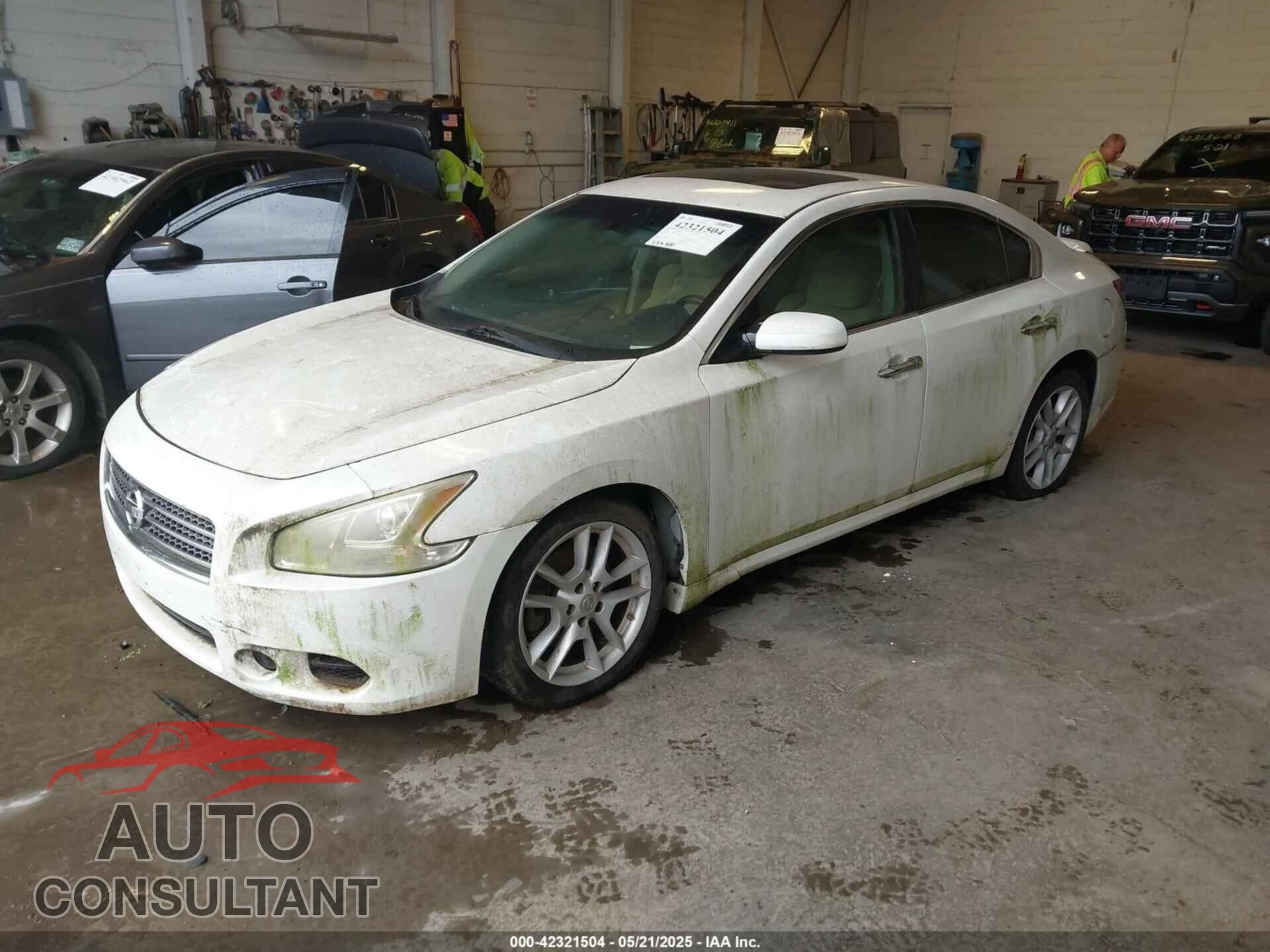 NISSAN MAXIMA 2009 - 1N4AA51E99C852809