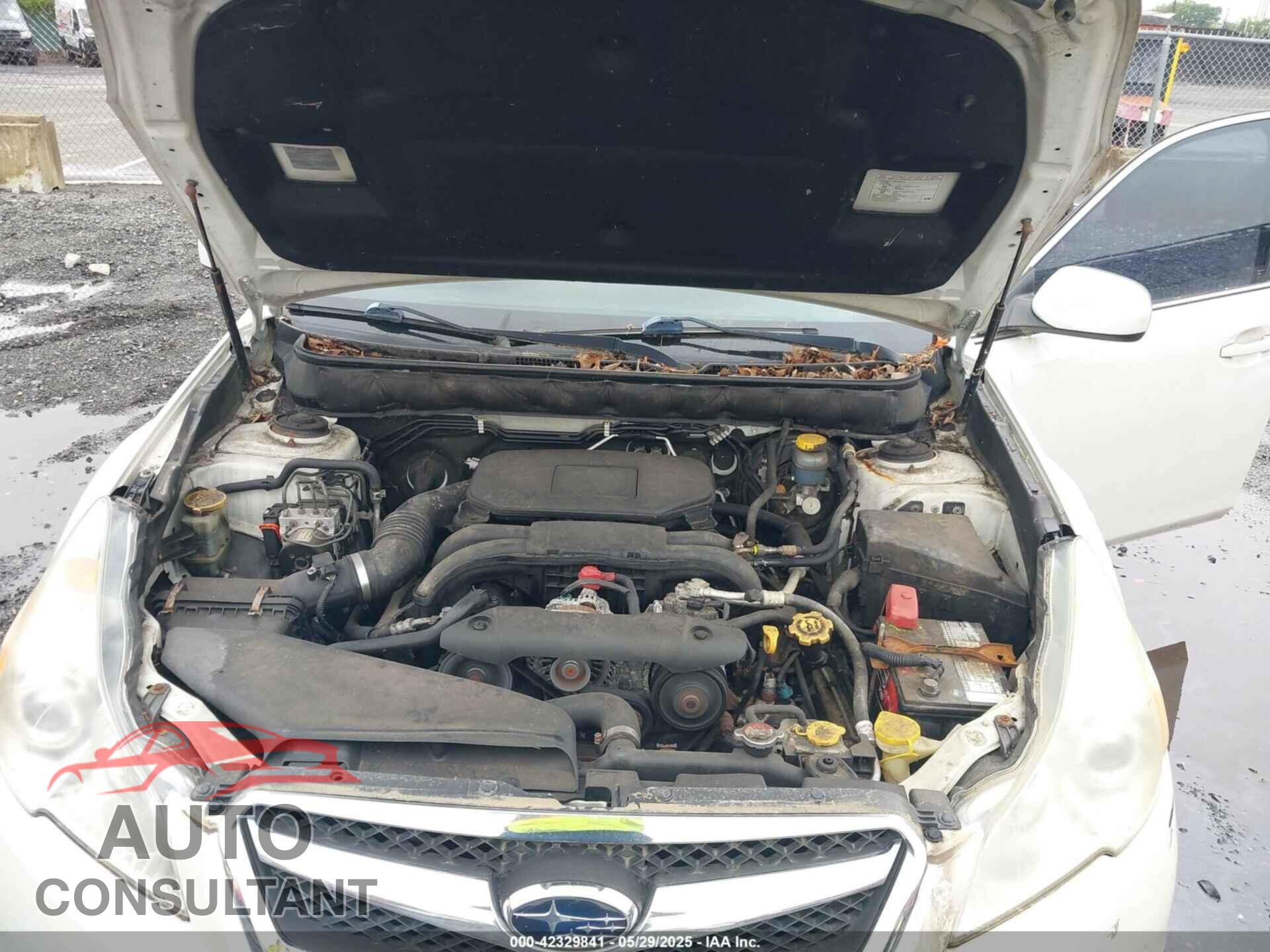 SUBARU LEGACY 2010 - 4S3BMBG64A3242633