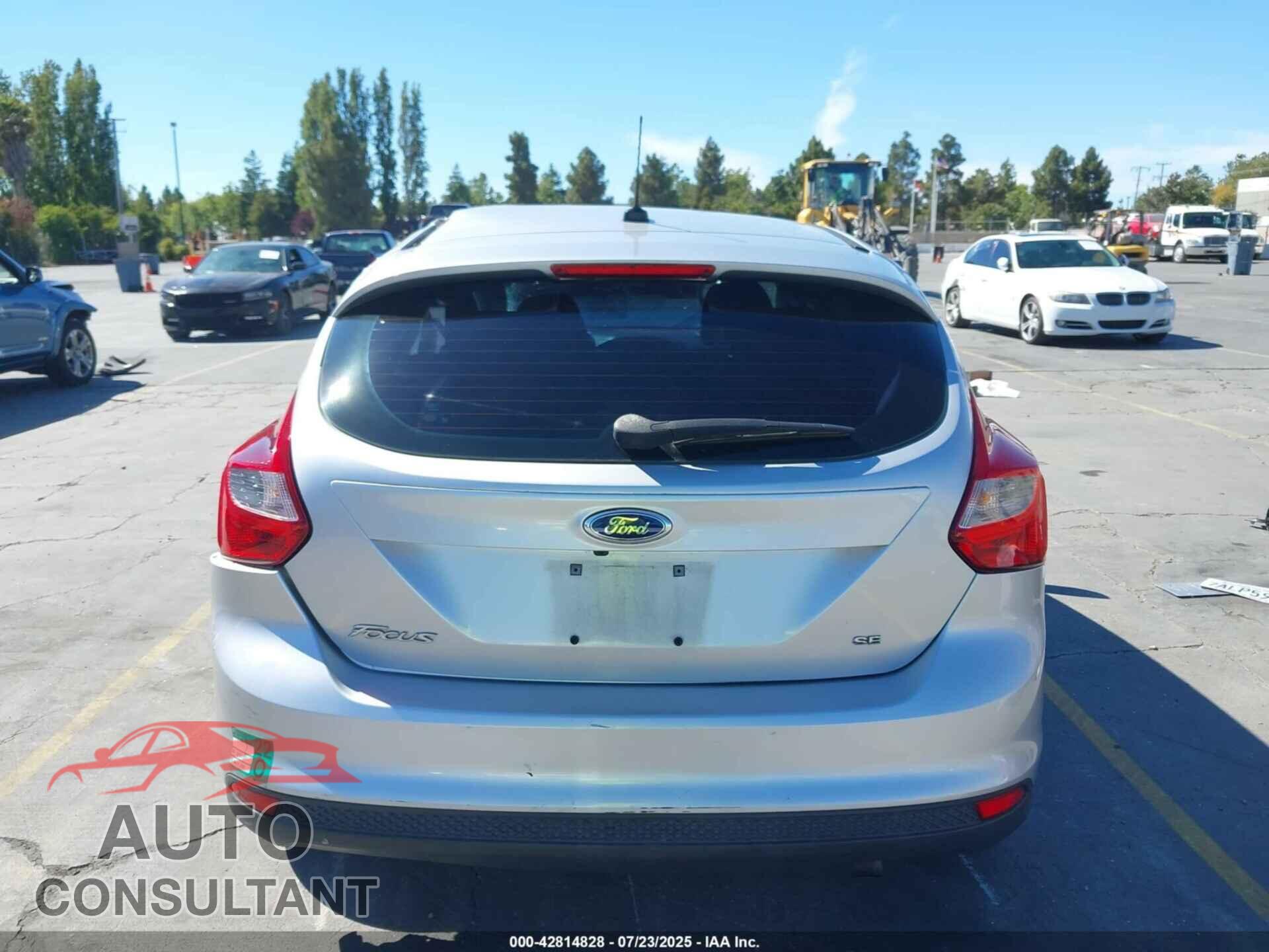 FORD FOCUS 2013 - 1FADP3K2XDL313905