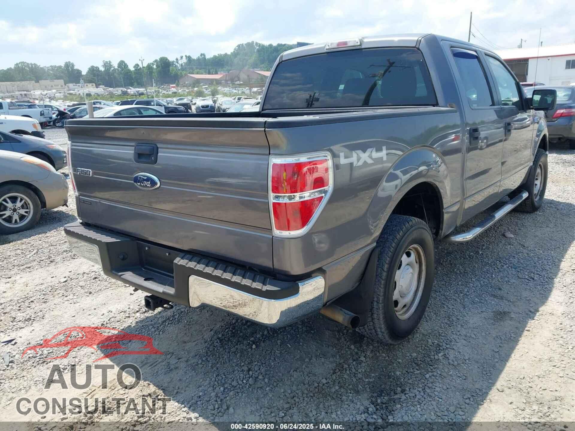 FORD F-150 2010 - 1FTEW1E87AFD69672